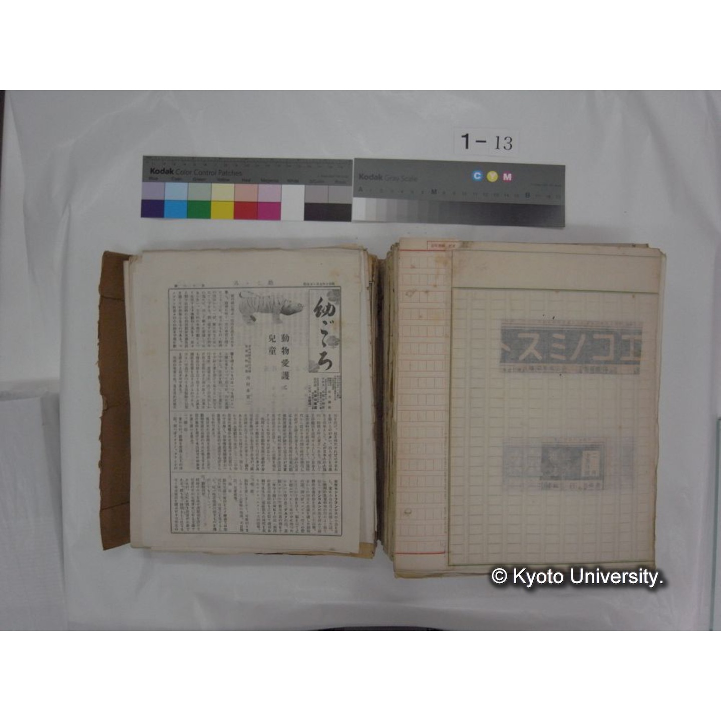 自著旧文 [直筆・著作複写・抜き刷りなど] / 川村多實二 (155)