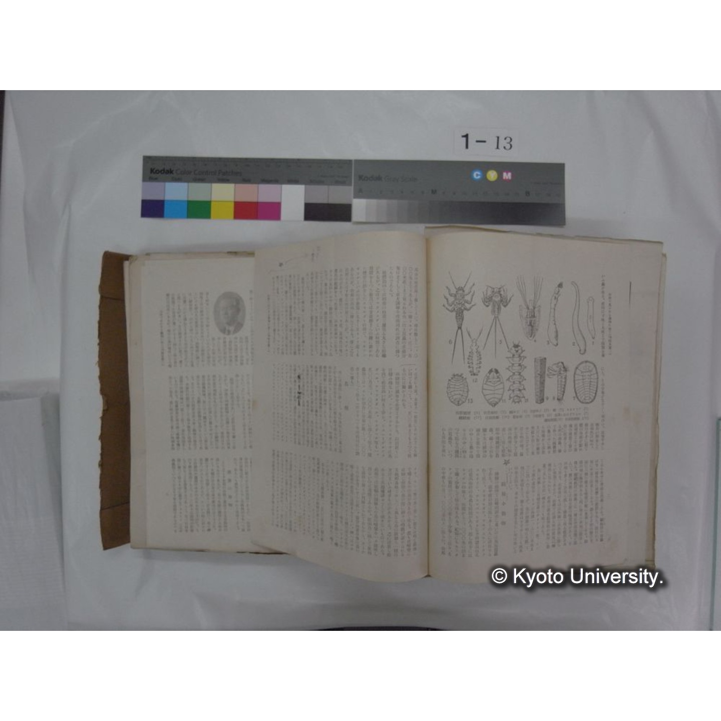 自著旧文 [直筆・著作複写・抜き刷りなど] / 川村多實二 (157)