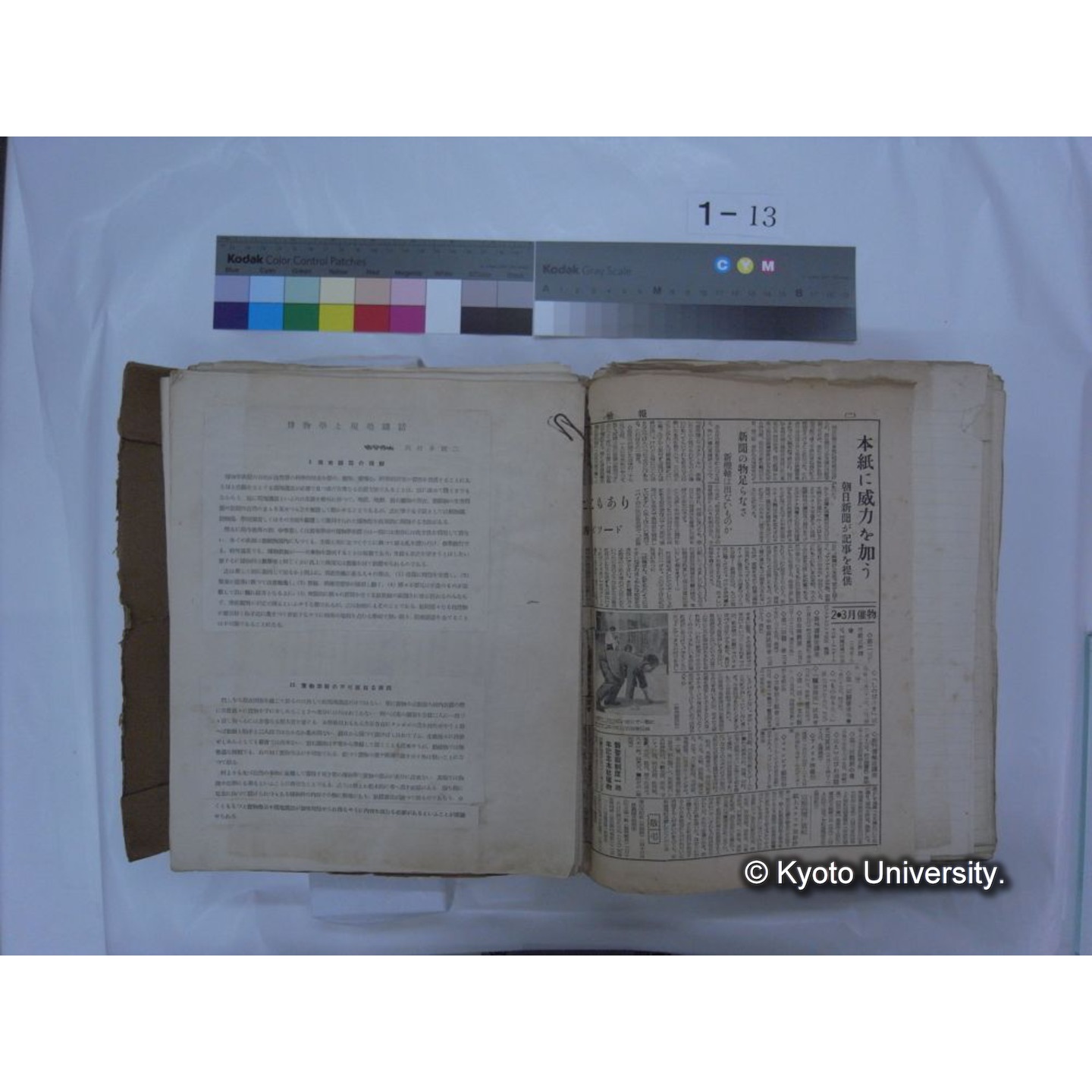 自著旧文 [直筆・著作複写・抜き刷りなど] / 川村多實二 (161)