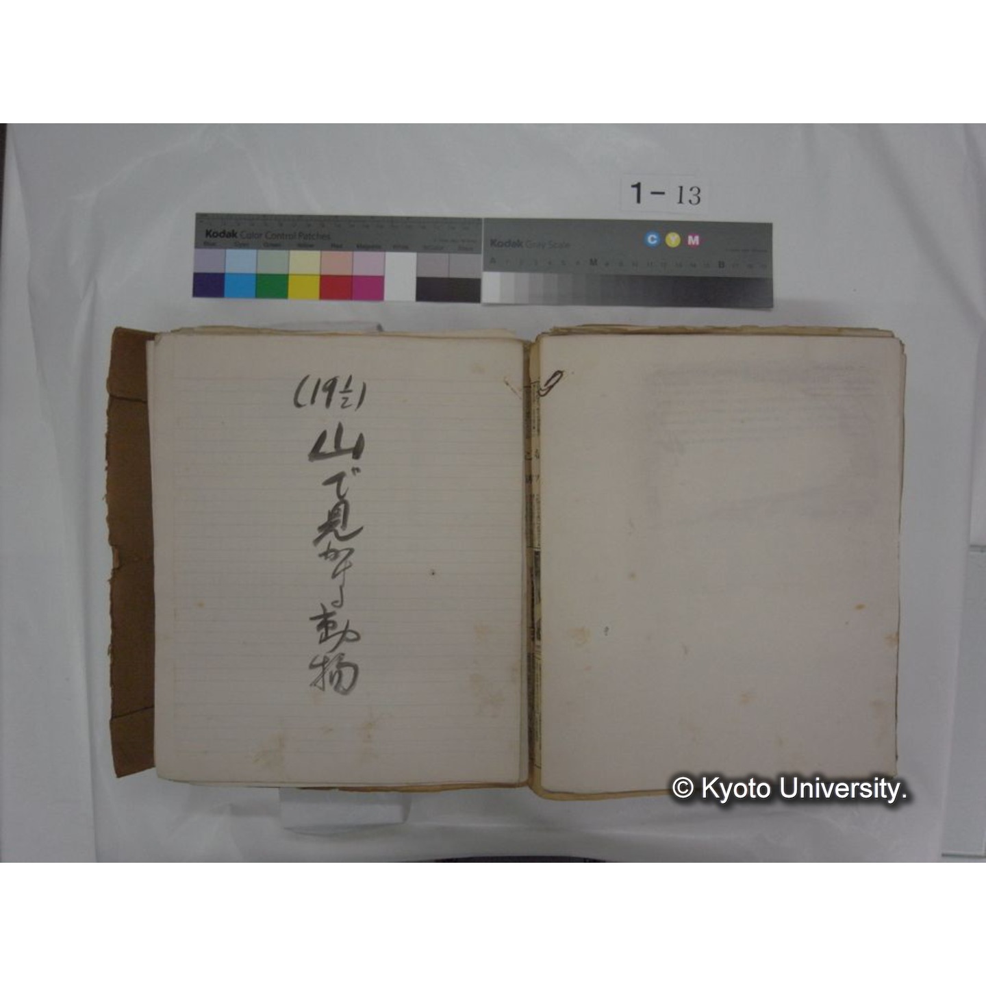 自著旧文 [直筆・著作複写・抜き刷りなど] / 川村多實二 (166)