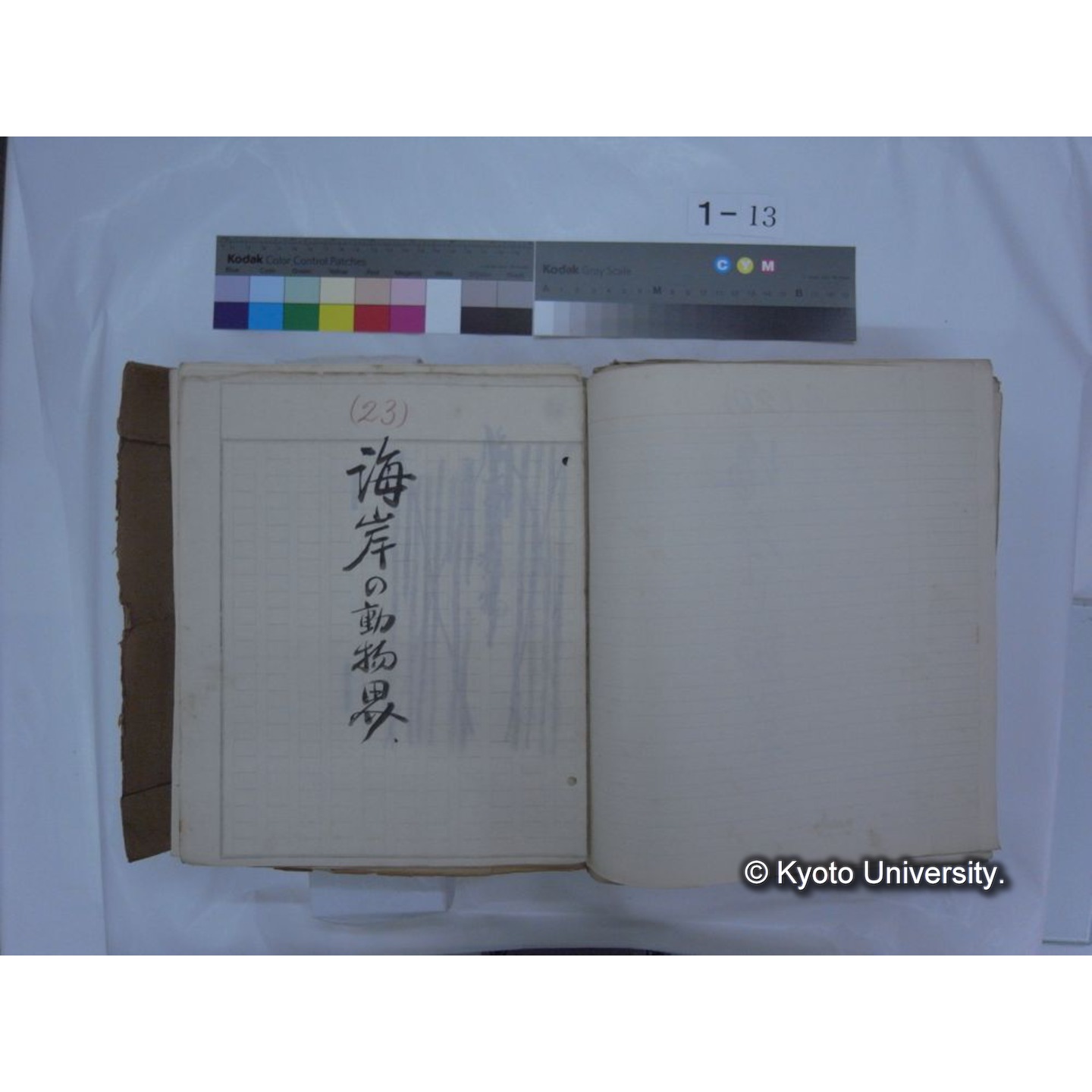 自著旧文 [直筆・著作複写・抜き刷りなど] / 川村多實二 (169)