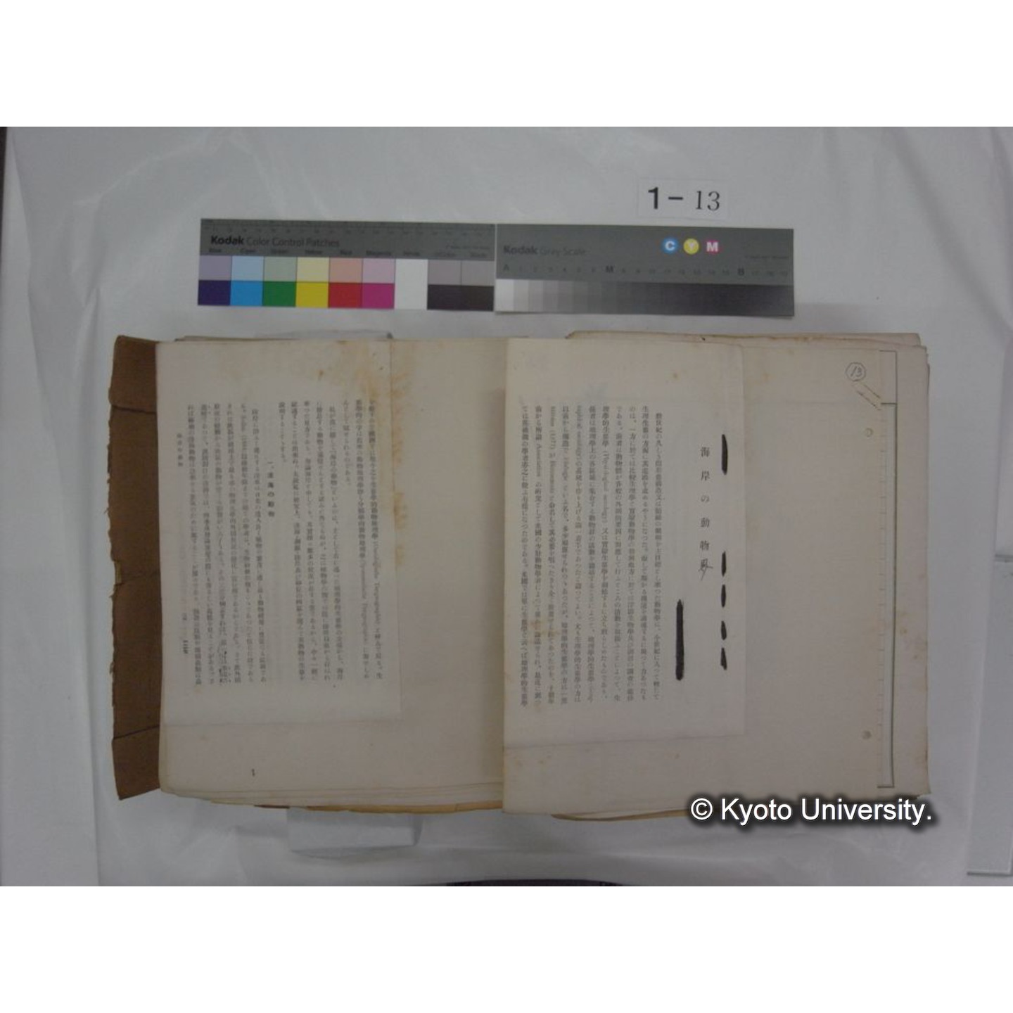 自著旧文 [直筆・著作複写・抜き刷りなど] / 川村多實二 (170)