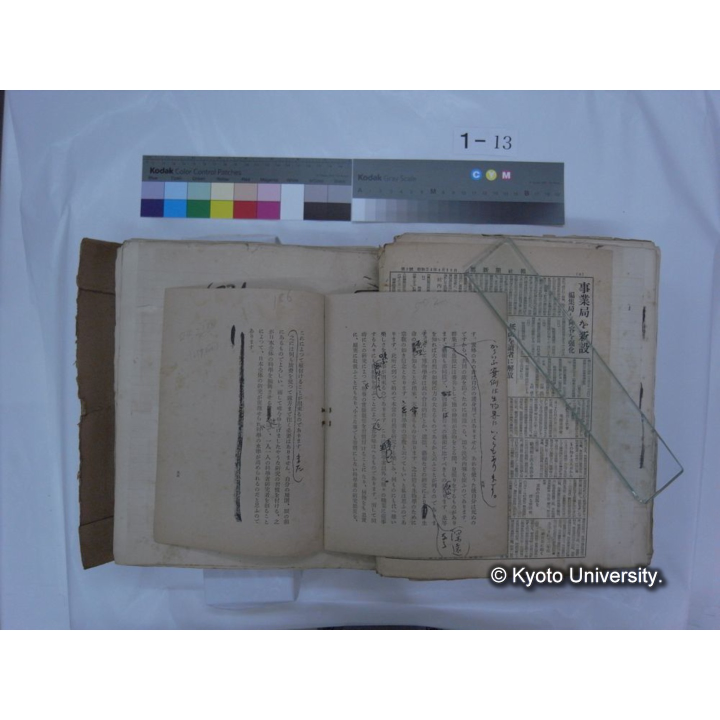 自著旧文 [直筆・著作複写・抜き刷りなど] / 川村多實二 (174)