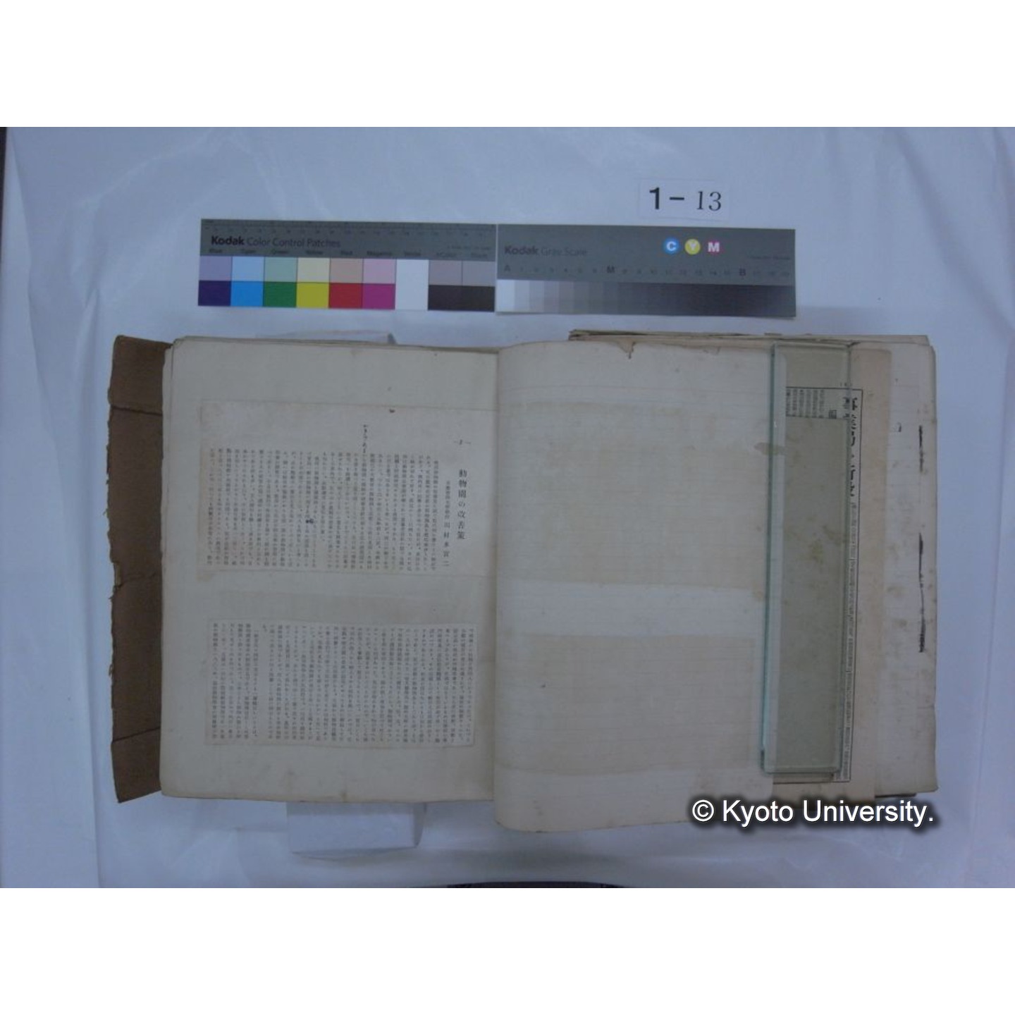 自著旧文 [直筆・著作複写・抜き刷りなど] / 川村多實二 (176)