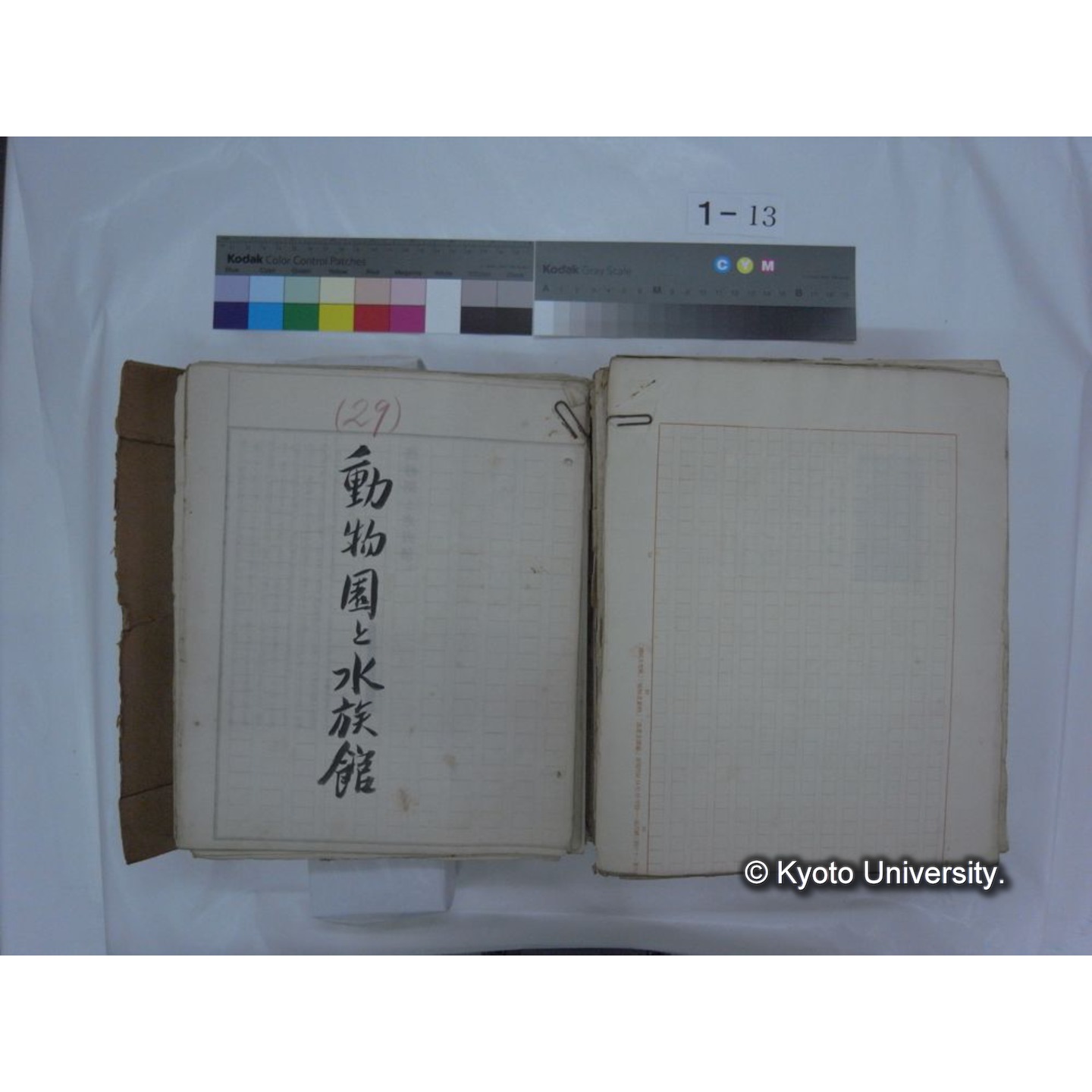 自著旧文 [直筆・著作複写・抜き刷りなど] / 川村多實二 (177)