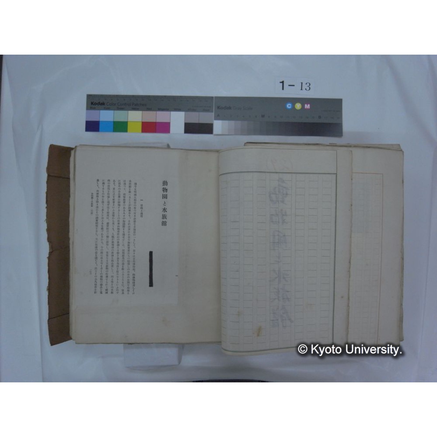 自著旧文 [直筆・著作複写・抜き刷りなど] / 川村多實二 (178)