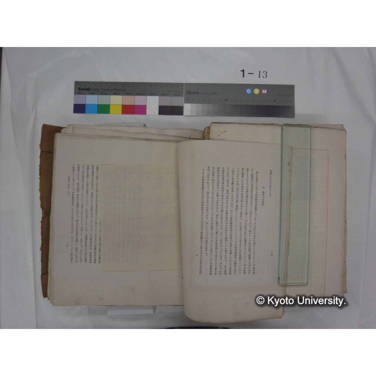 自著旧文 [直筆・著作複写・抜き刷りなど] / 川村多實二 (179)