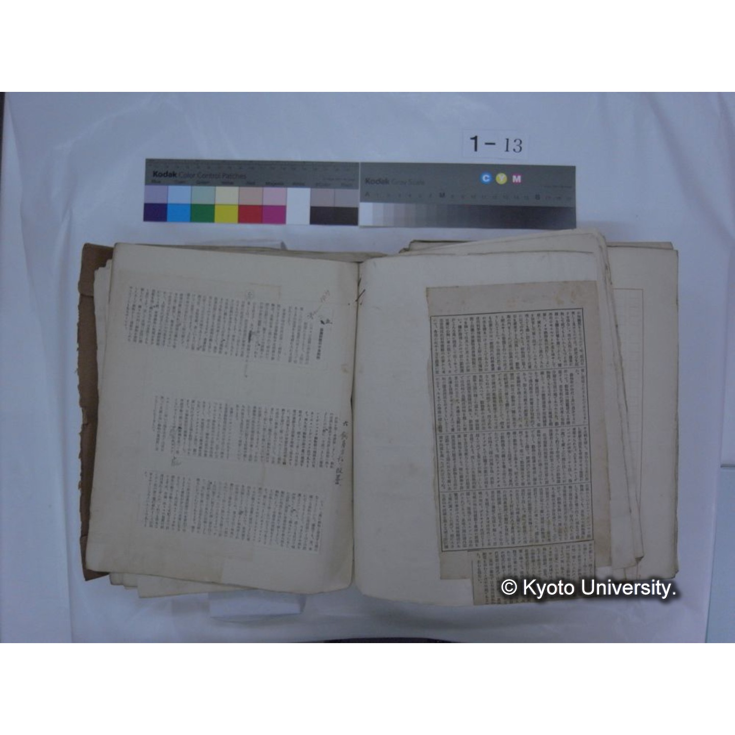 自著旧文 [直筆・著作複写・抜き刷りなど] / 川村多實二 (182)