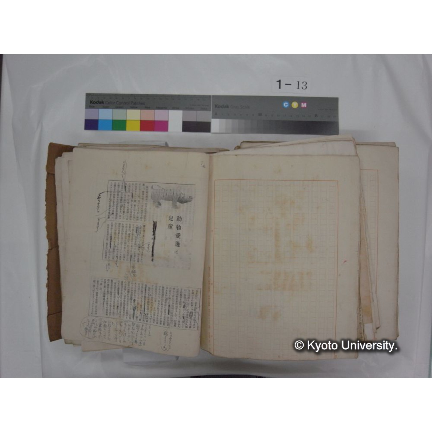 自著旧文 [直筆・著作複写・抜き刷りなど] / 川村多實二 (183)