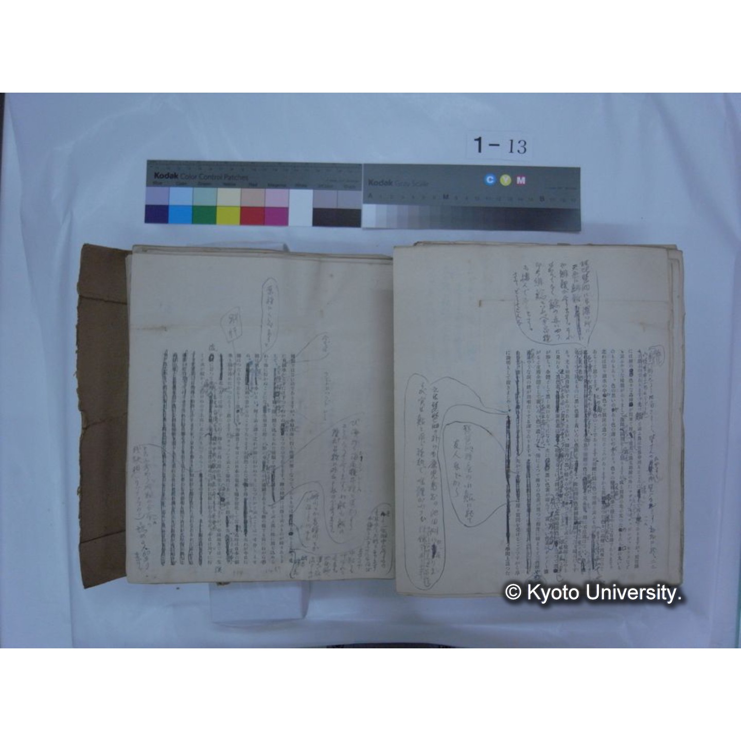 自著旧文 [直筆・著作複写・抜き刷りなど] / 川村多實二 (186)