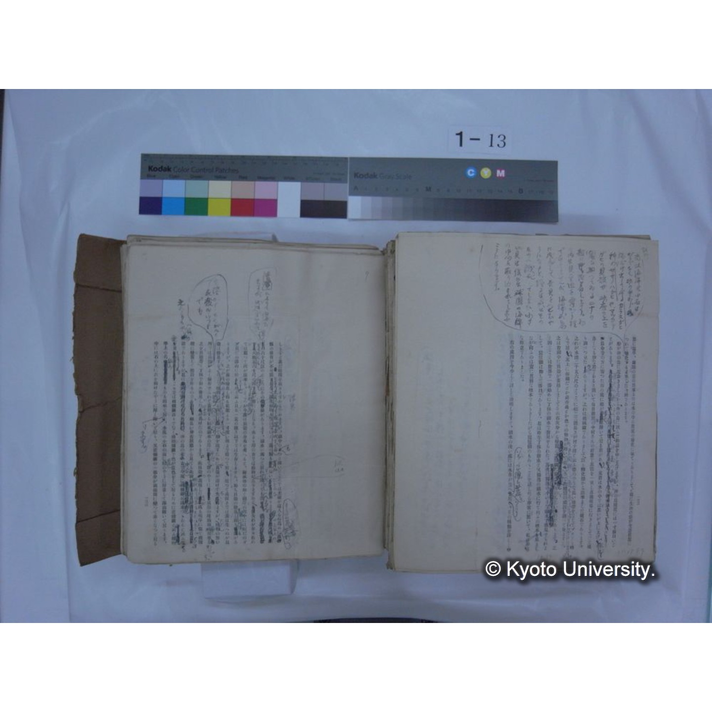 自著旧文 [直筆・著作複写・抜き刷りなど] / 川村多實二 (187)