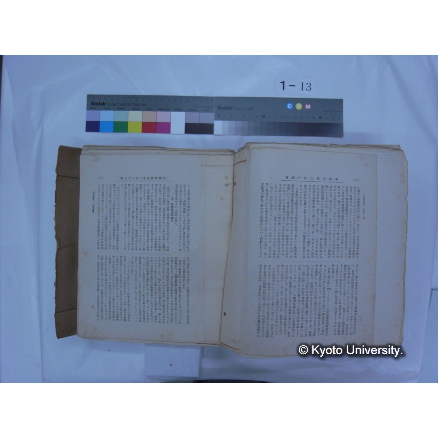 自著旧文 [直筆・著作複写・抜き刷りなど] / 川村多實二 (190)