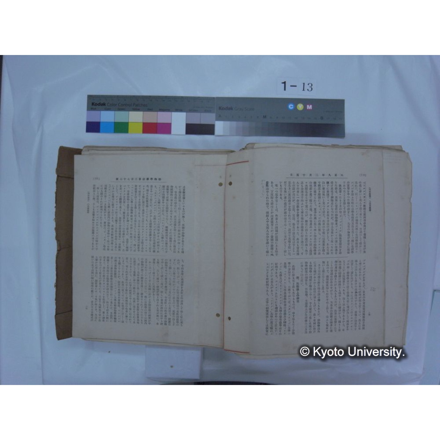 自著旧文 [直筆・著作複写・抜き刷りなど] / 川村多實二 (191)