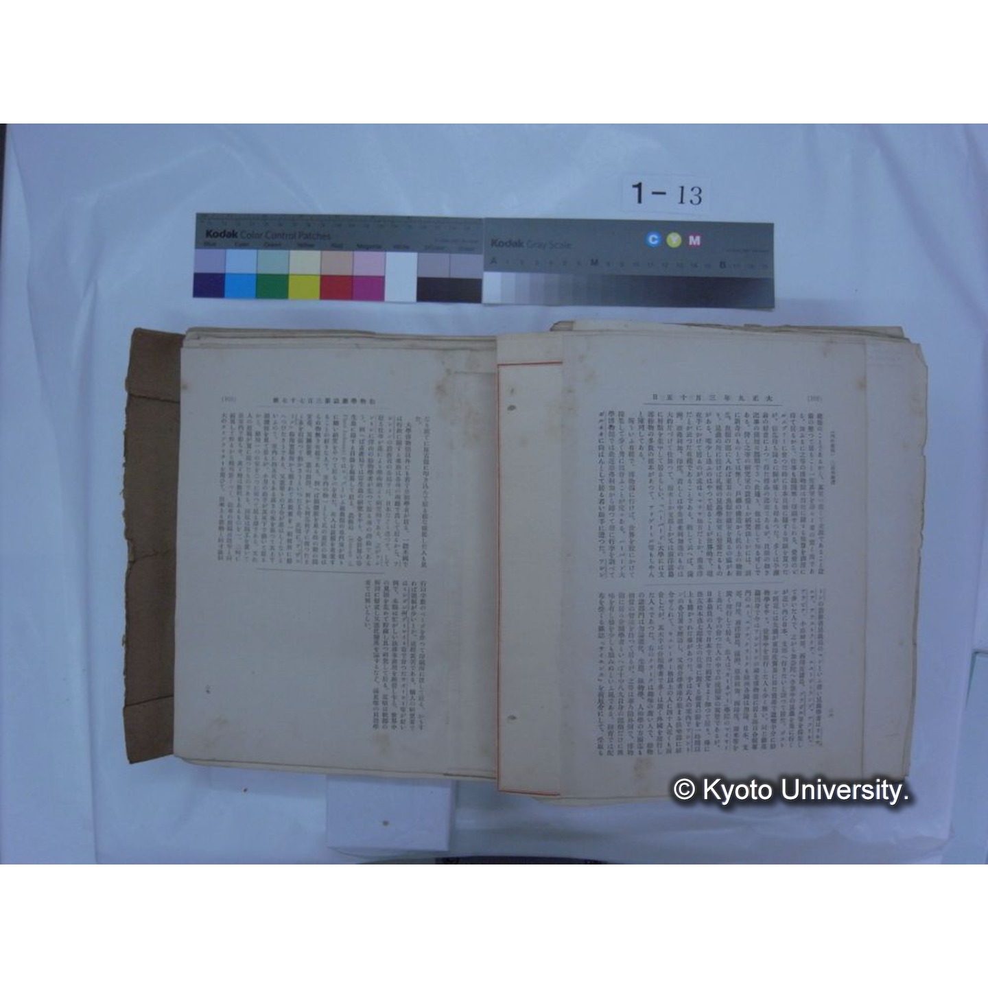 自著旧文 [直筆・著作複写・抜き刷りなど] / 川村多實二 (192)