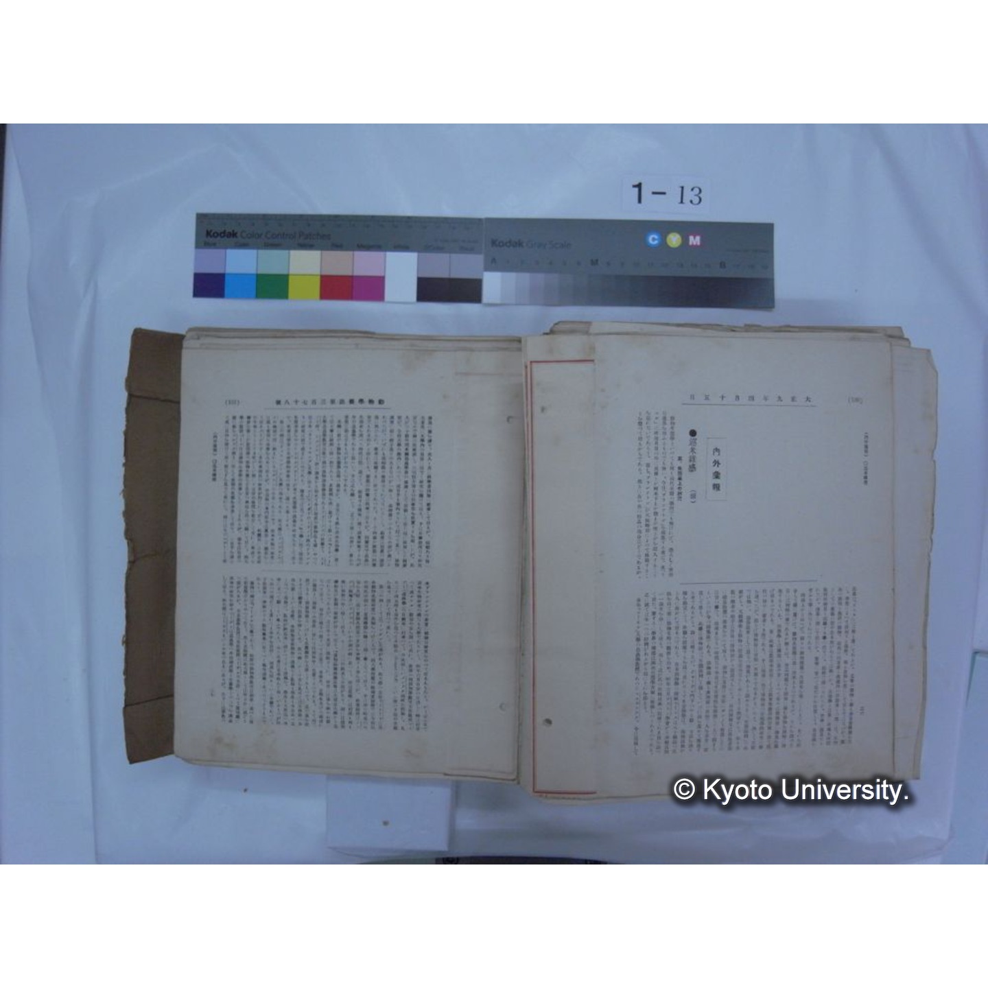 自著旧文 [直筆・著作複写・抜き刷りなど] / 川村多實二 (193)