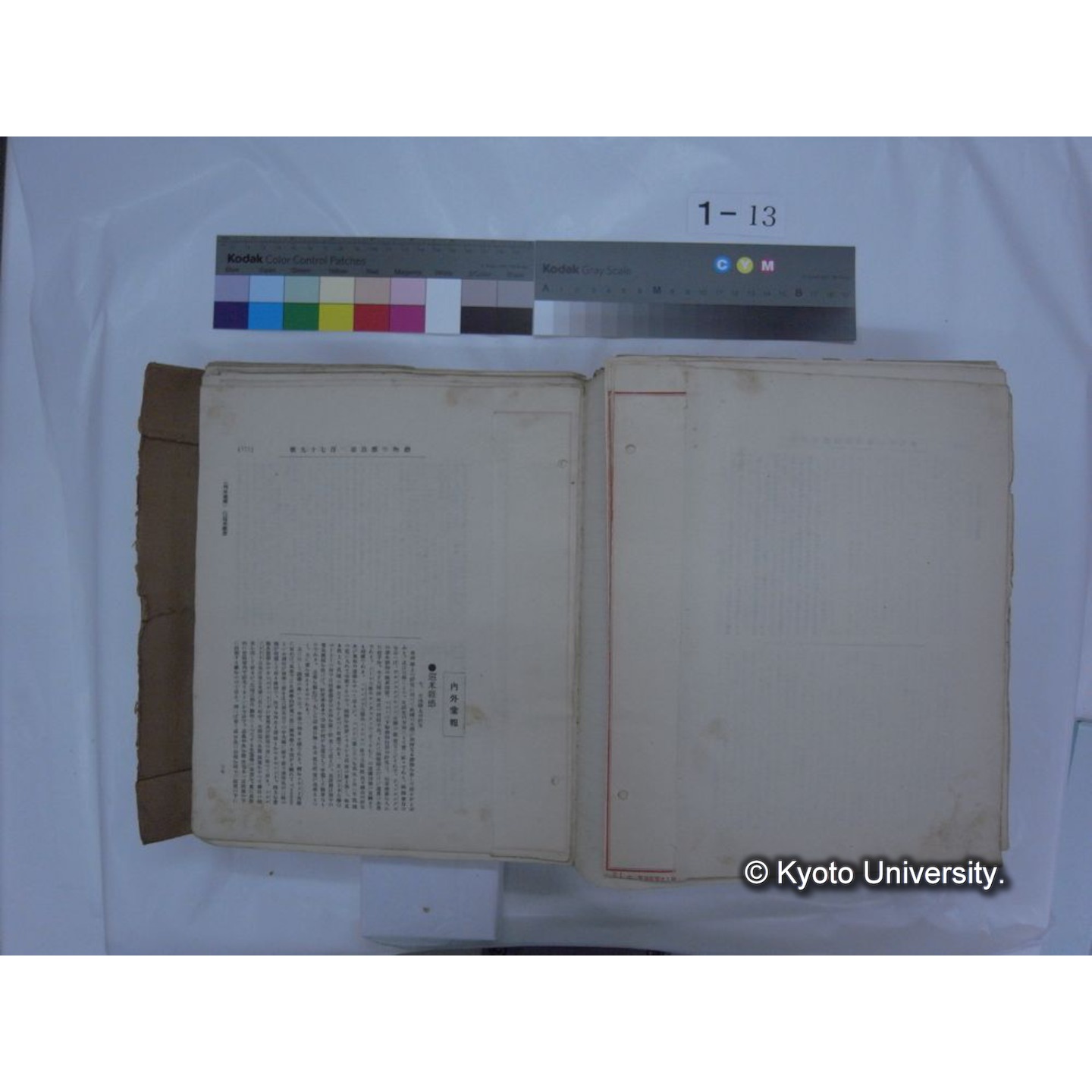 自著旧文 [直筆・著作複写・抜き刷りなど] / 川村多實二 (194)