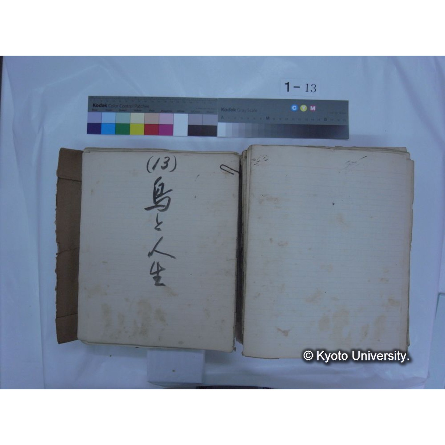 自著旧文 [直筆・著作複写・抜き刷りなど] / 川村多實二 (195)