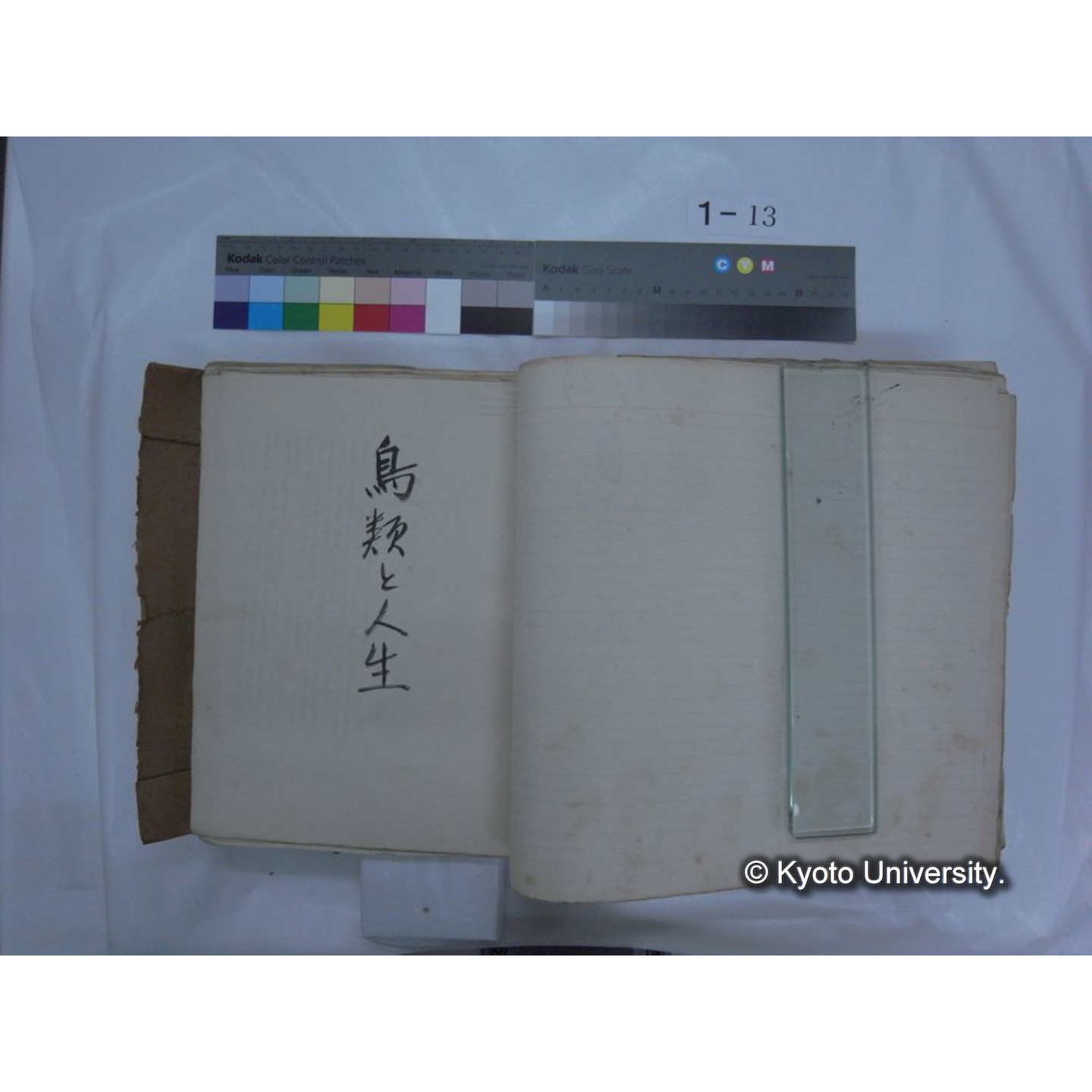 自著旧文 [直筆・著作複写・抜き刷りなど] / 川村多實二 (196)