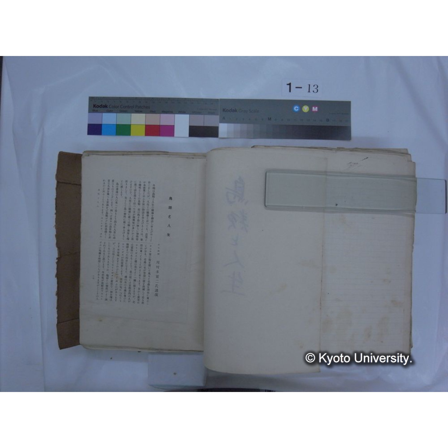 自著旧文 [直筆・著作複写・抜き刷りなど] / 川村多實二 (197)