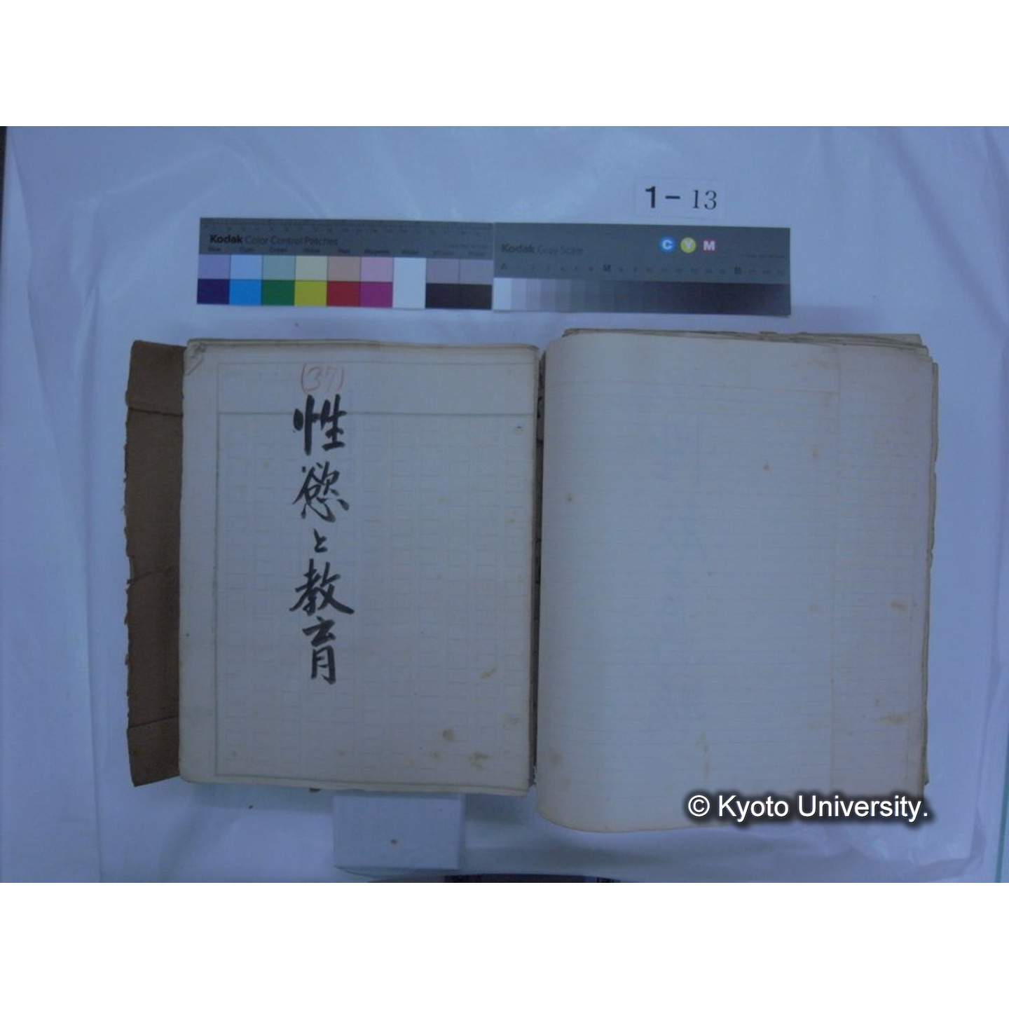 自著旧文 [直筆・著作複写・抜き刷りなど] / 川村多實二 (199)