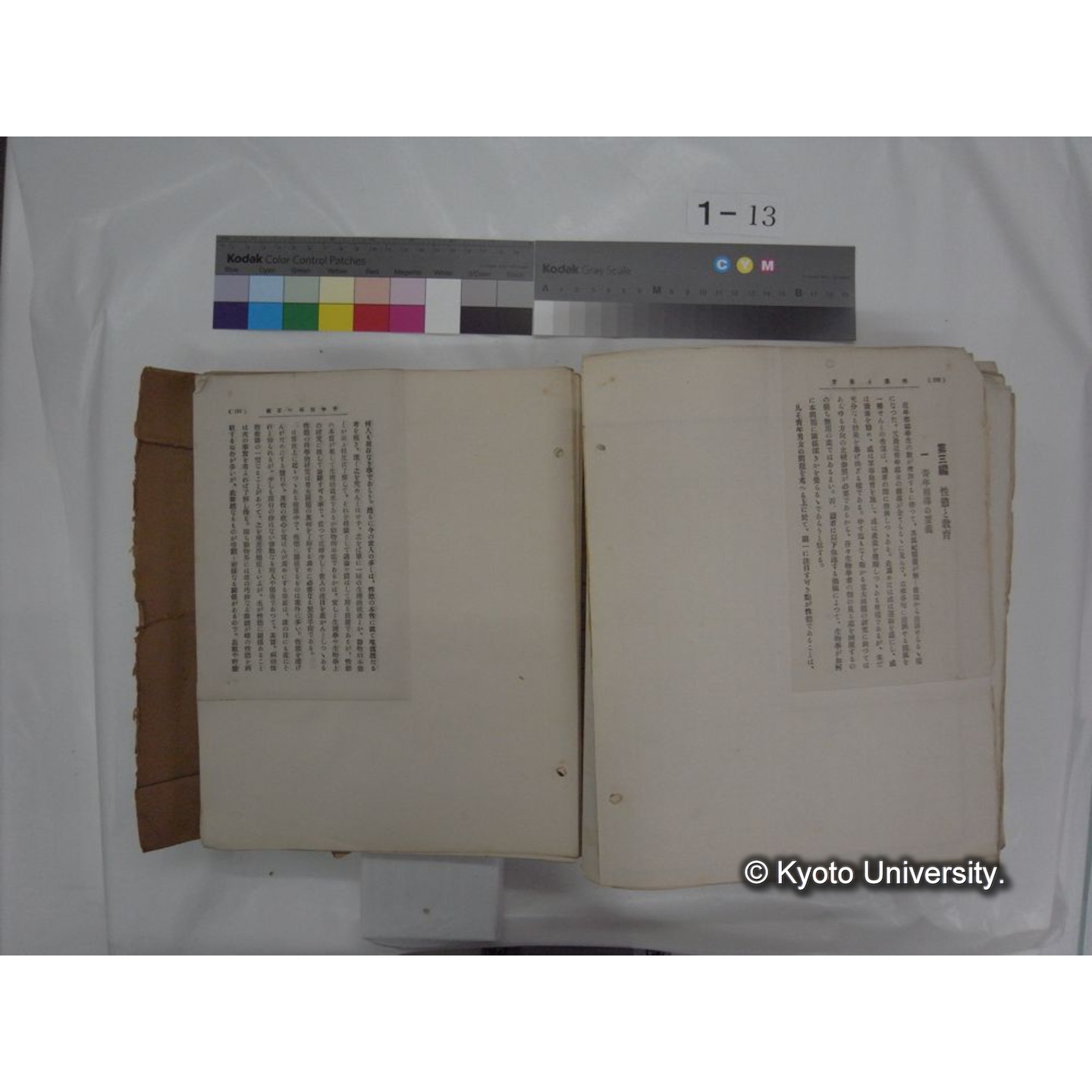 自著旧文 [直筆・著作複写・抜き刷りなど] / 川村多實二 (200)