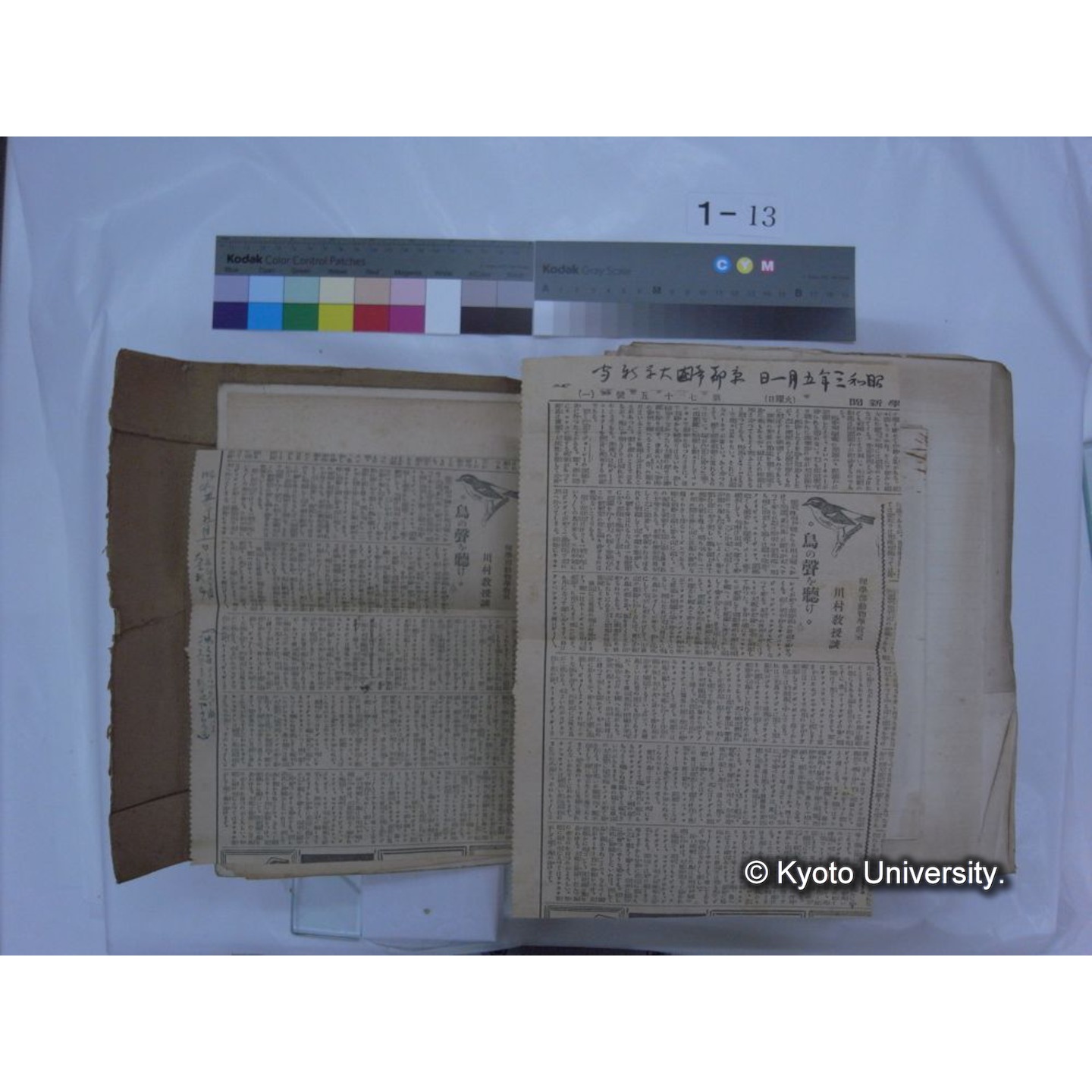 自著旧文 [直筆・著作複写・抜き刷りなど] / 川村多實二 (204)