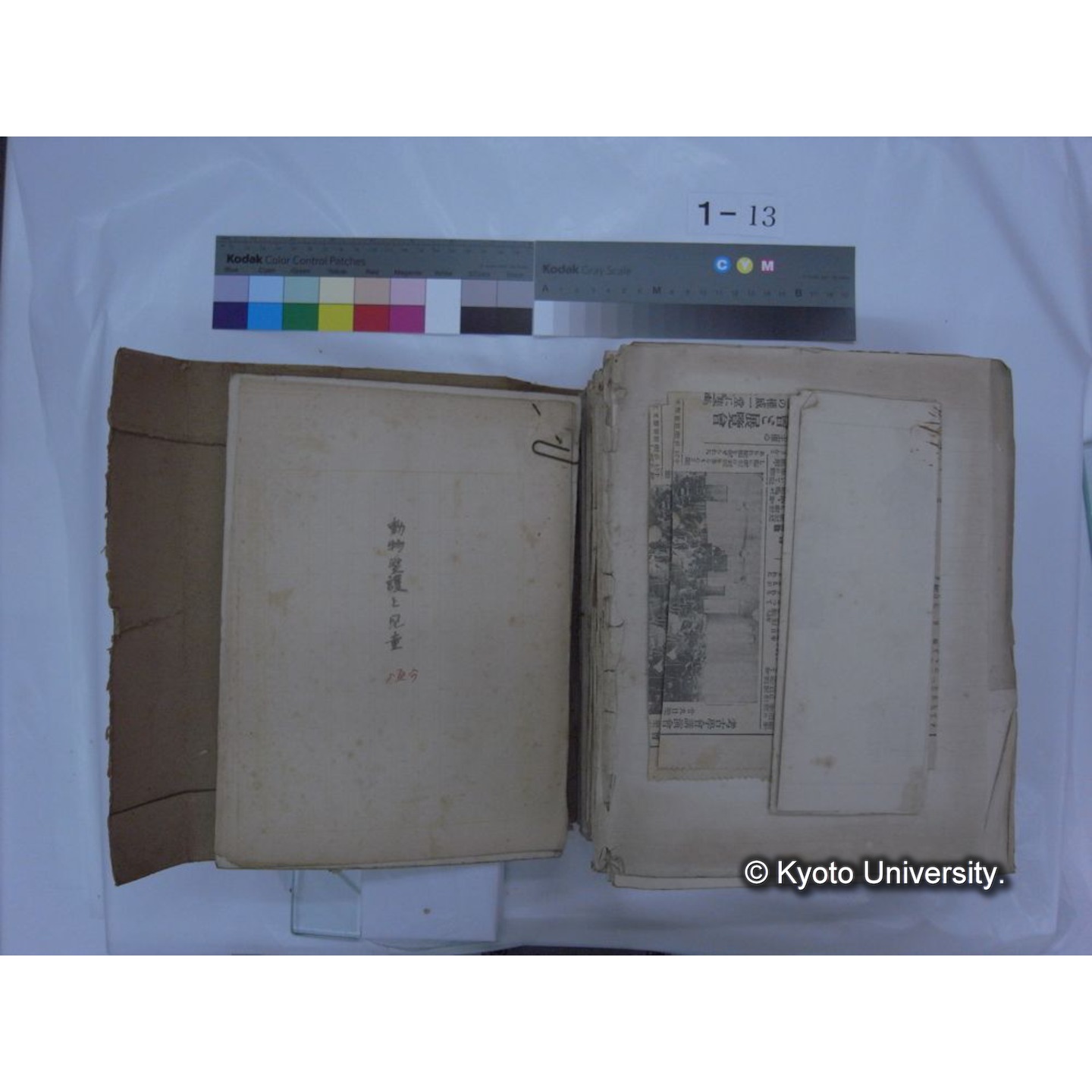 自著旧文 [直筆・著作複写・抜き刷りなど] / 川村多實二 (205)