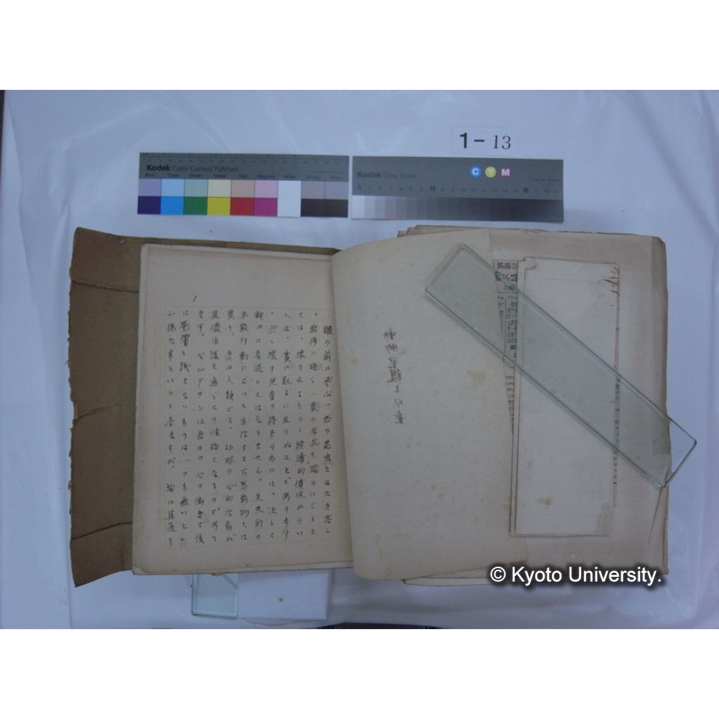 自著旧文 [直筆・著作複写・抜き刷りなど] / 川村多實二 (206)