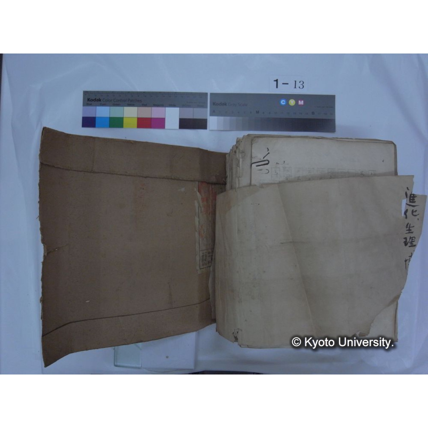 自著旧文 [直筆・著作複写・抜き刷りなど] / 川村多實二 (210)