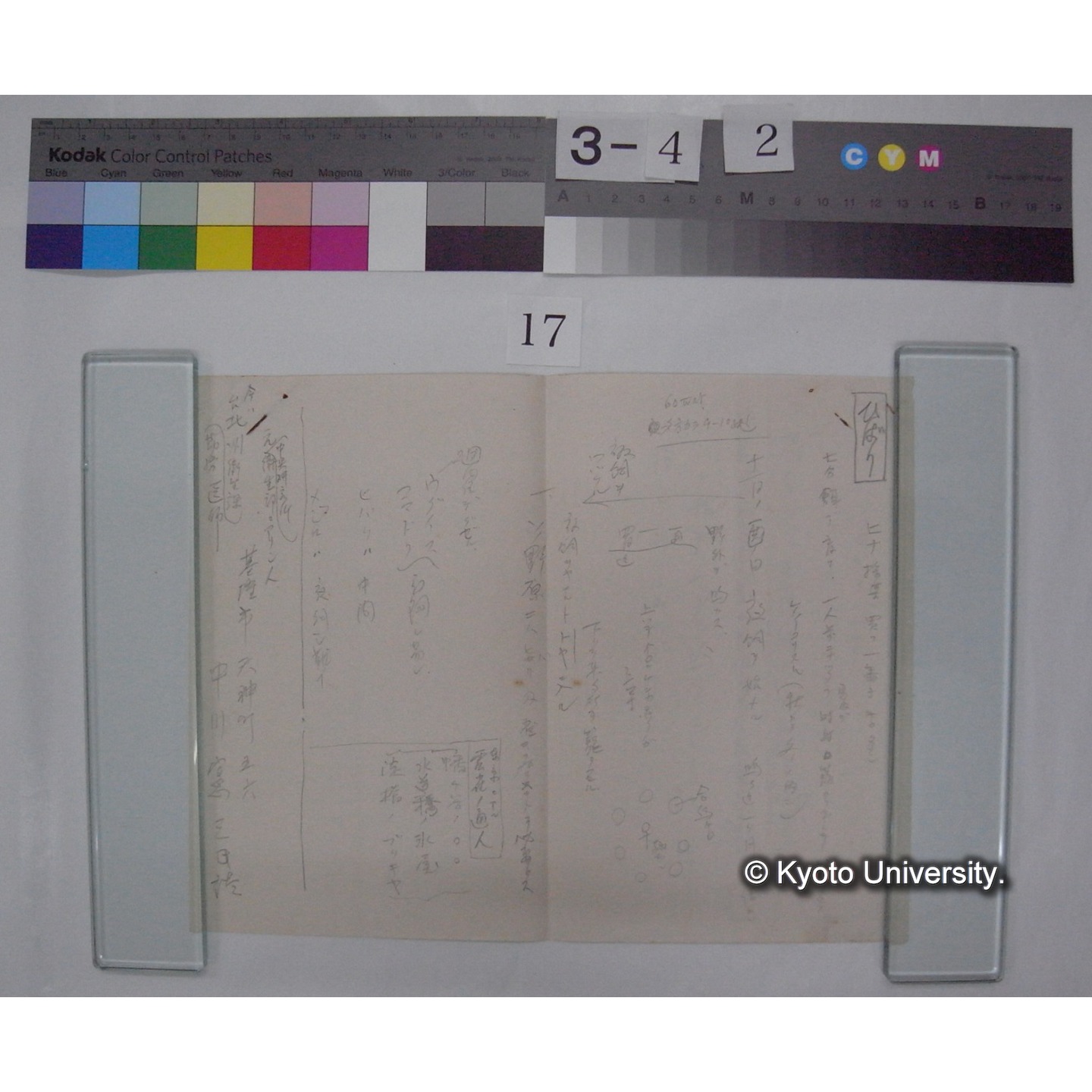 ひばり つぐみ / 中川憲三氏談 (2)