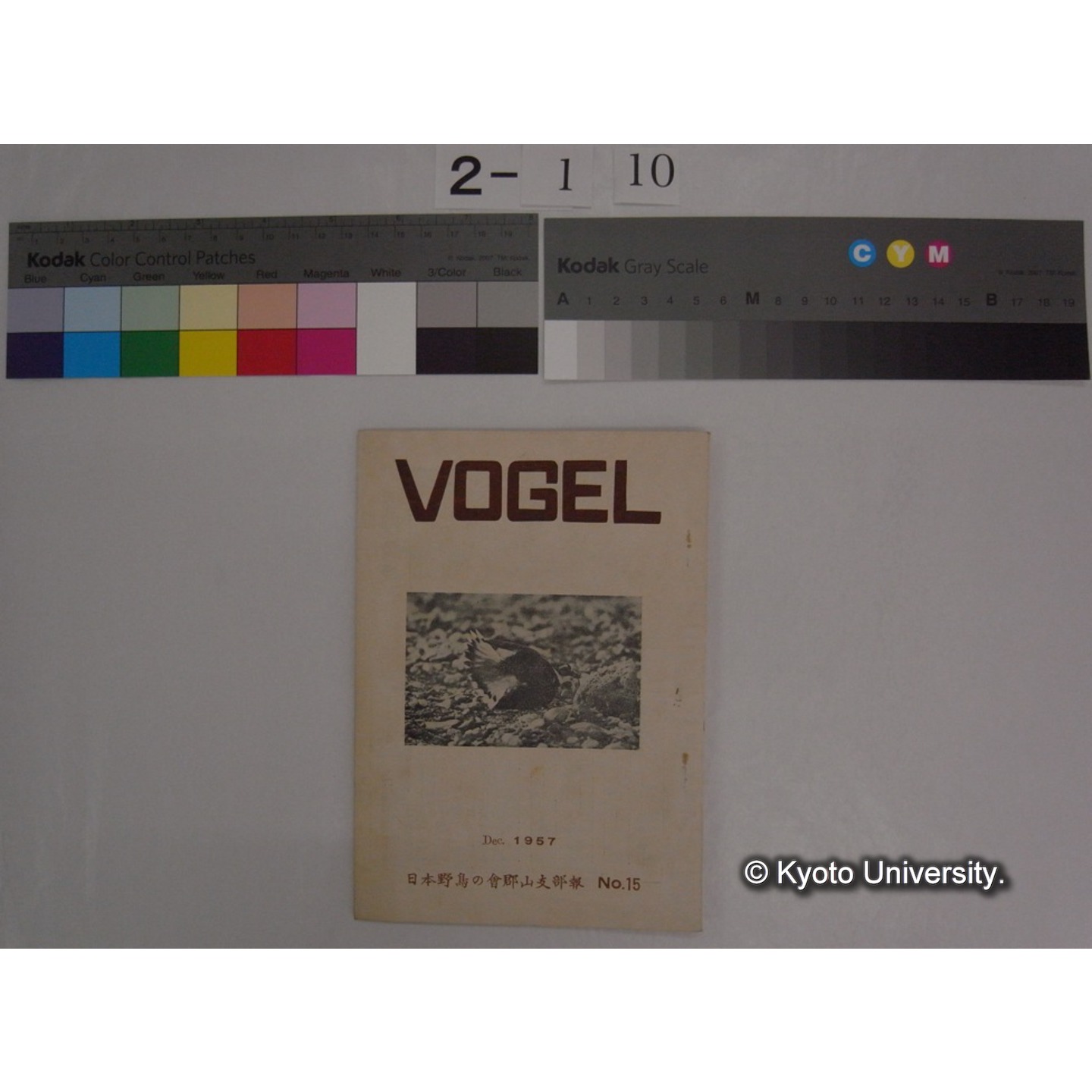 VOGEL 15号(昭和32.12) : 日本野鳥の会郡山支部報 (1)