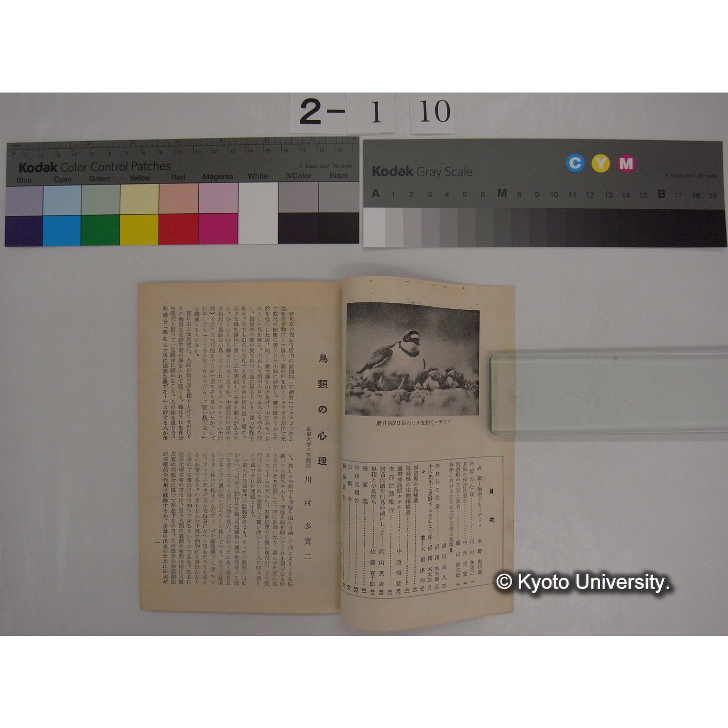 VOGEL 15号(昭和32.12) : 日本野鳥の会郡山支部報 (2)