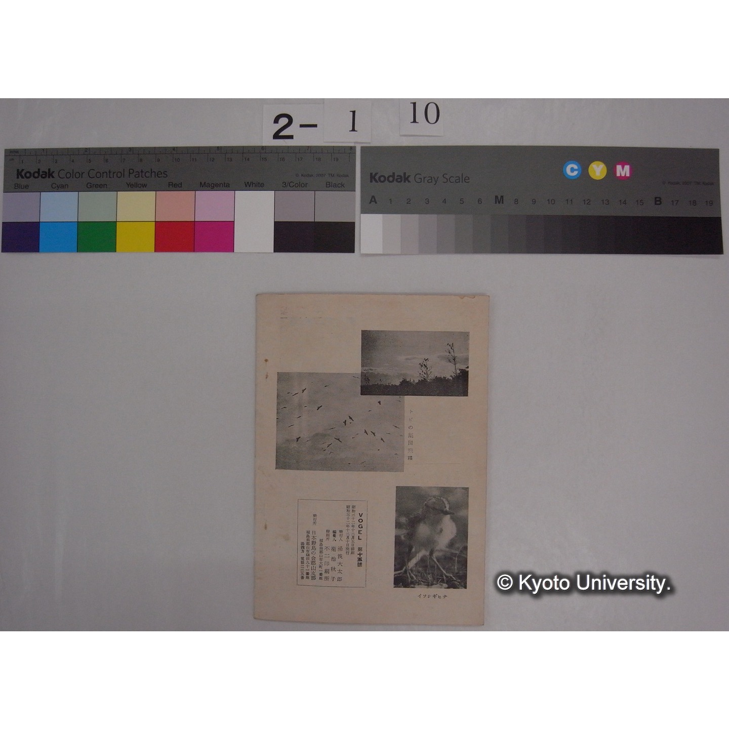 VOGEL 15号(昭和32.12) : 日本野鳥の会郡山支部報 (3)