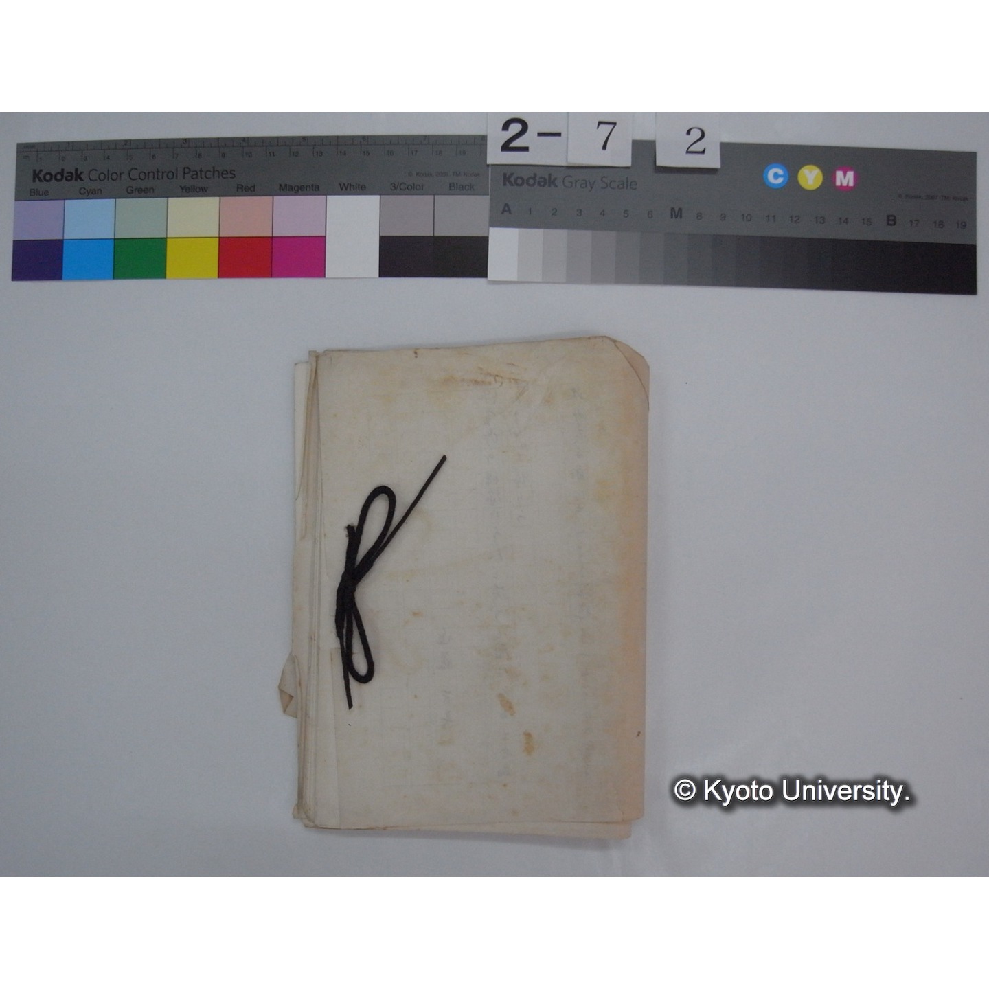 明治以降歌人別「野鳥の短歌」(1)(草稿) / 山上伊豆母 (1)