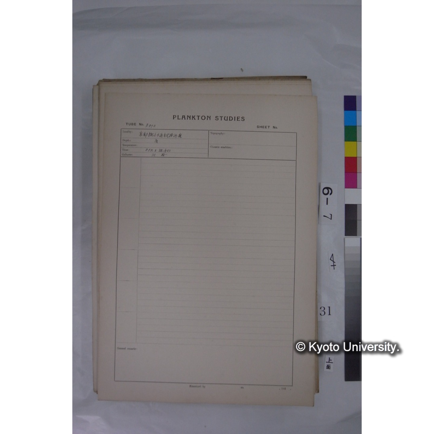 プランクトン標本調査カード (国内各地,採取データのみ) (31)