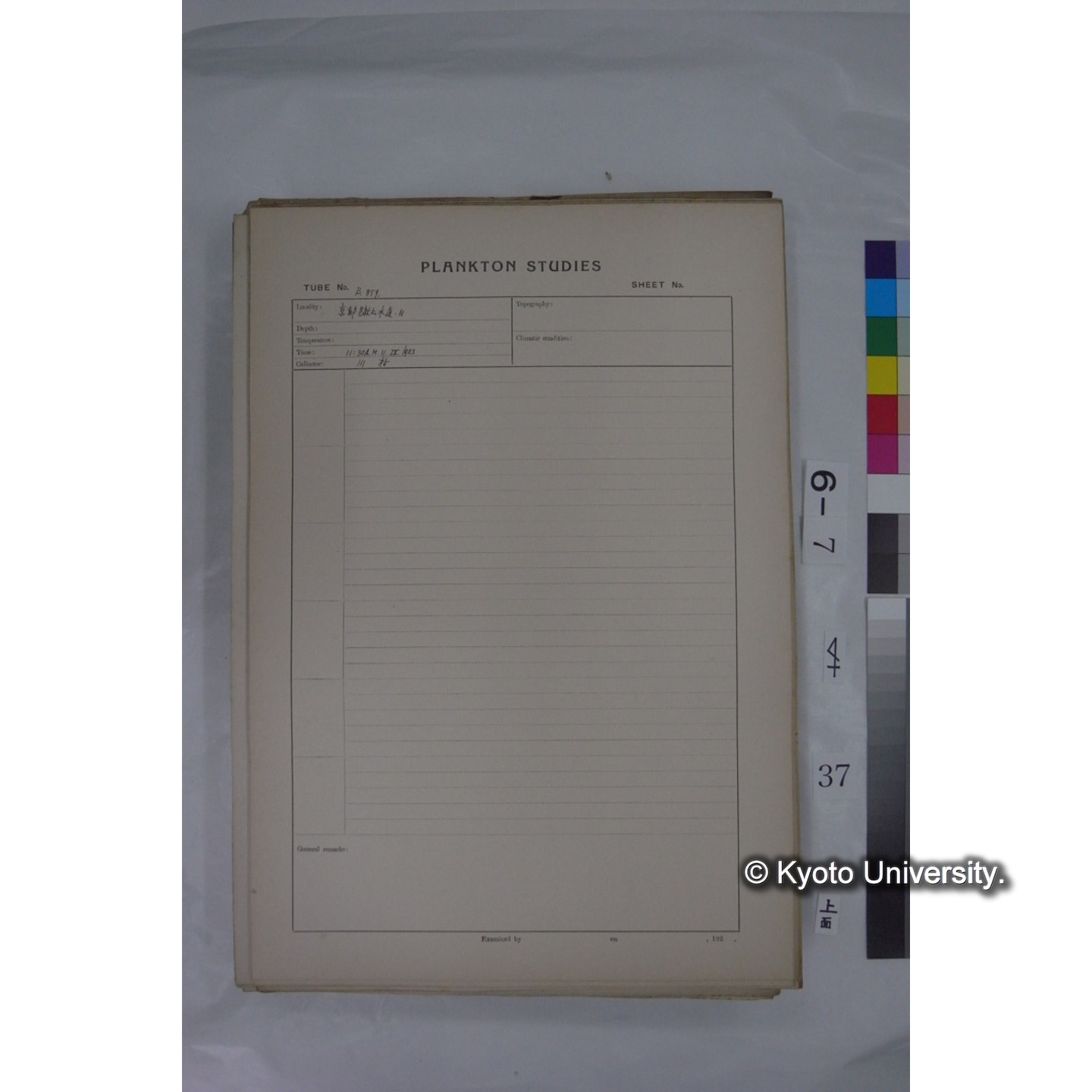 プランクトン標本調査カード (国内各地,採取データのみ) (37)