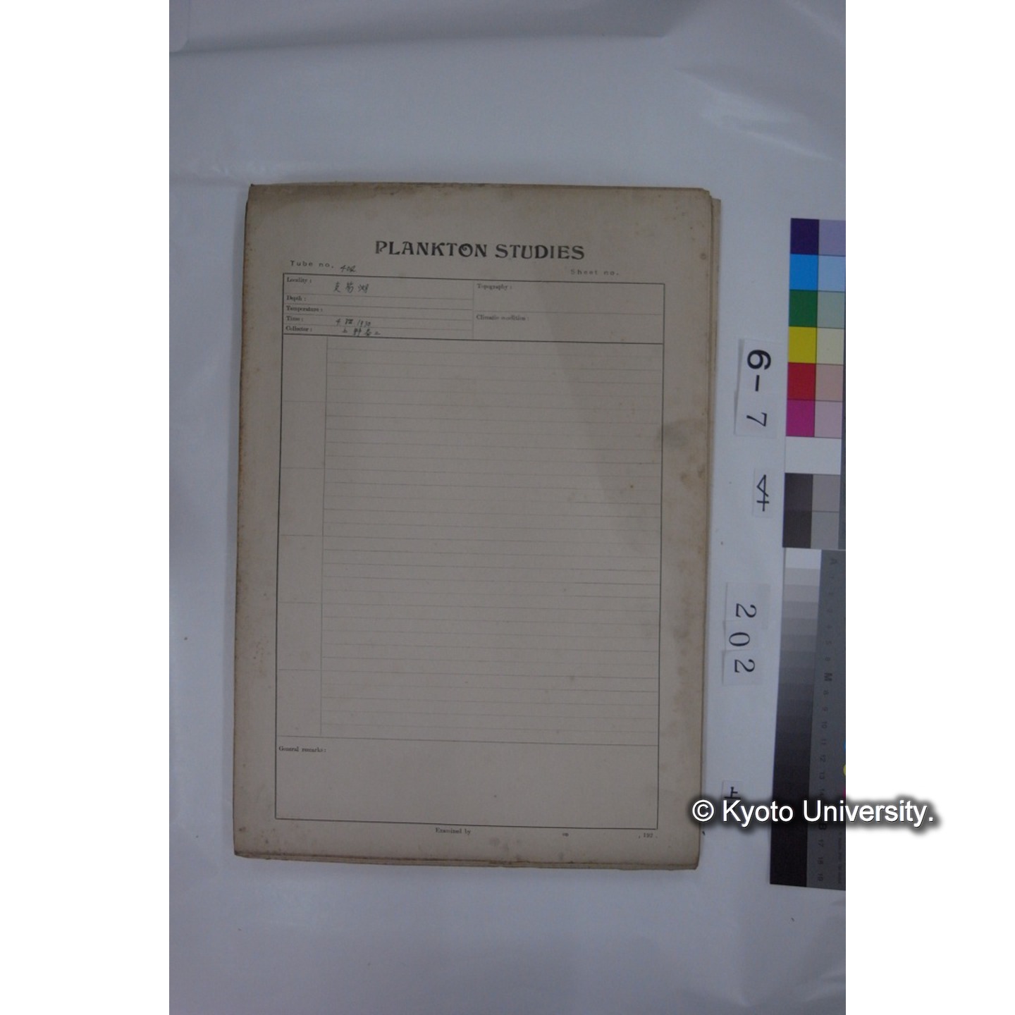 プランクトン標本調査カード (国内各地,採取データのみ) (203)