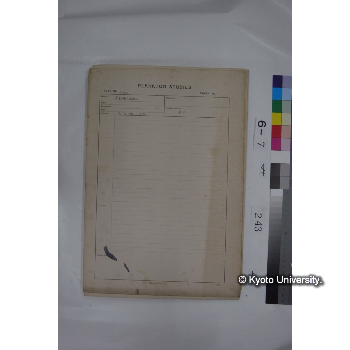 プランクトン標本調査カード (国内各地,採取データのみ) (244)