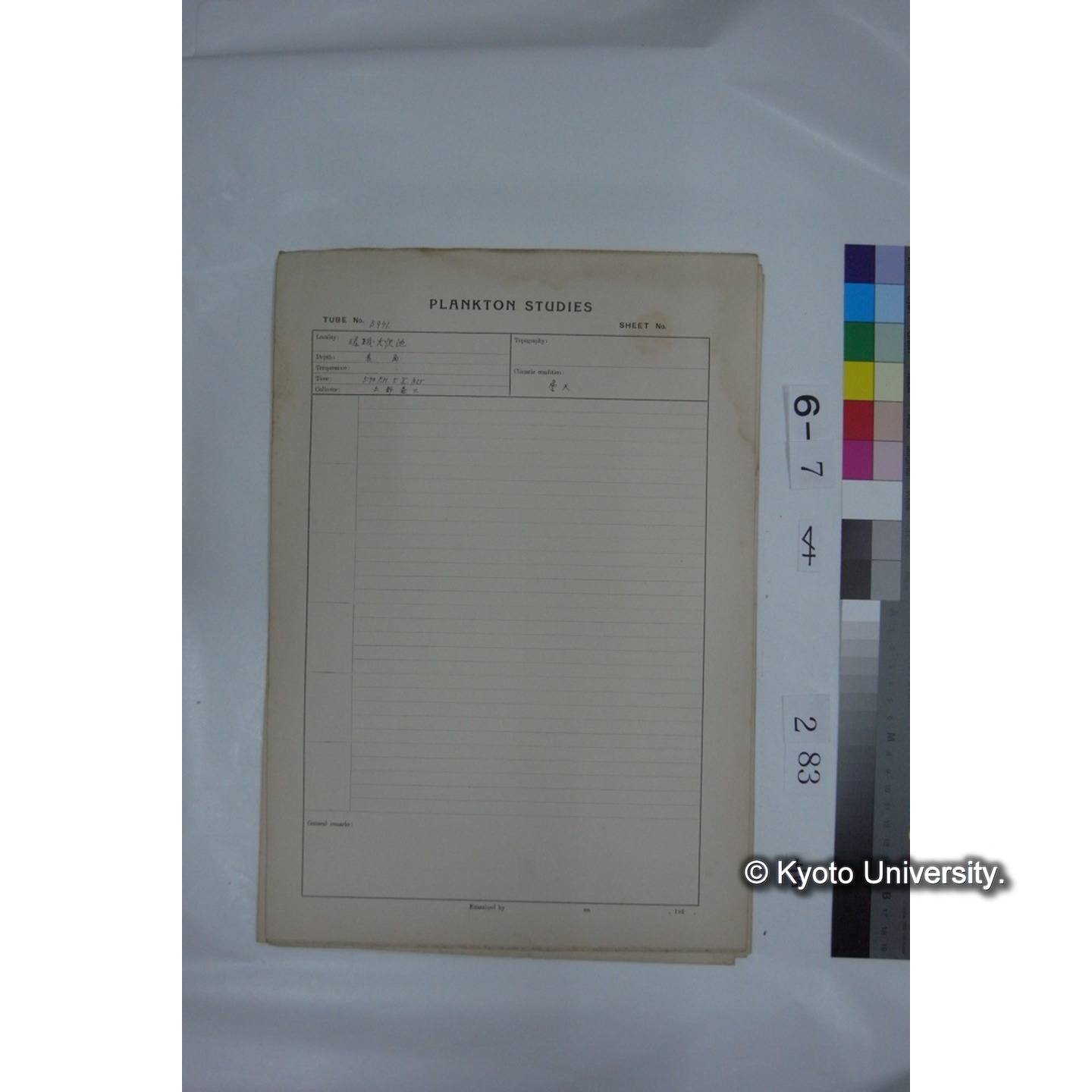プランクトン標本調査カード (国内各地,採取データのみ) (284)