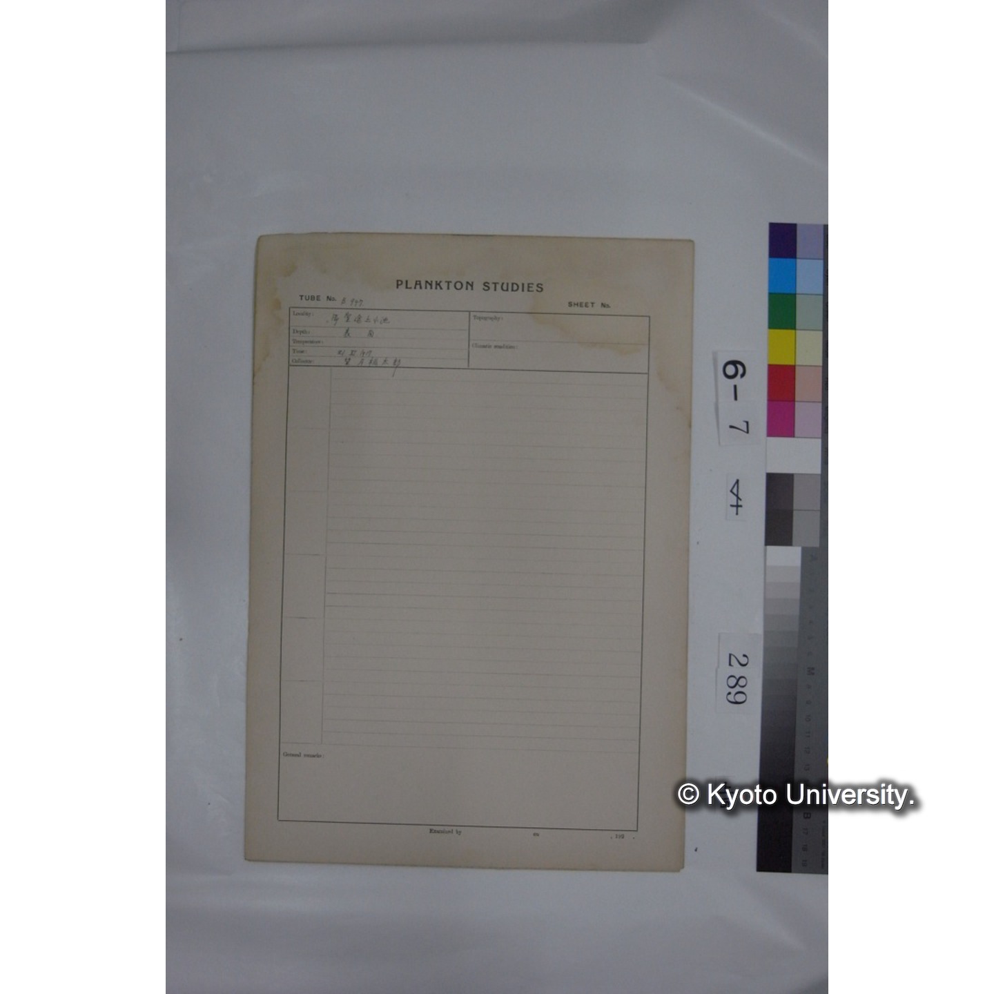 プランクトン標本調査カード (国内各地,採取データのみ) (290)