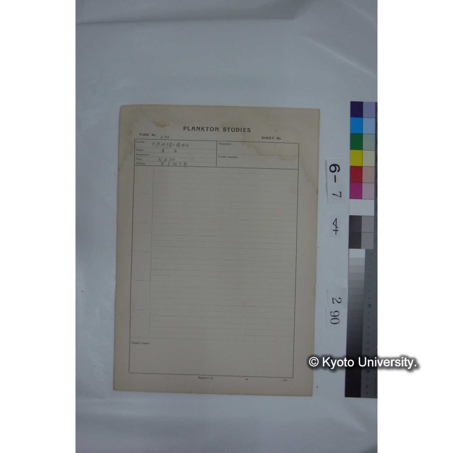 プランクトン標本調査カード (国内各地,採取データのみ) (291)