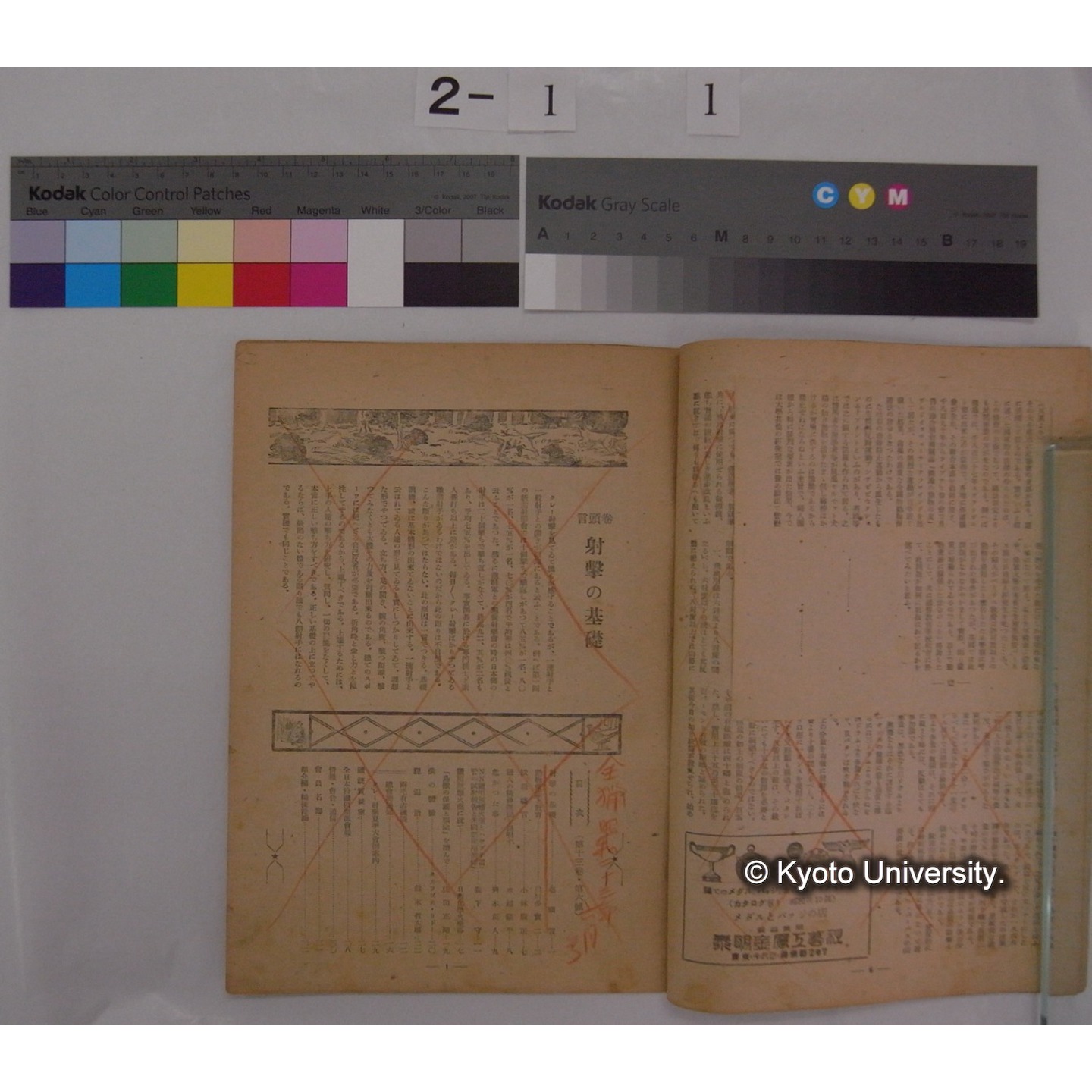 動物愛護と教育 [抜刷等] / 川村多實二 (4)