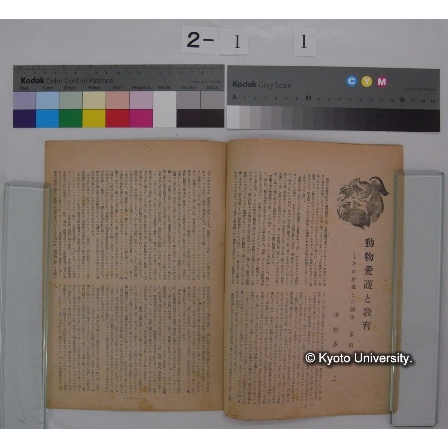 動物愛護と教育 [抜刷等] / 川村多實二 (5)