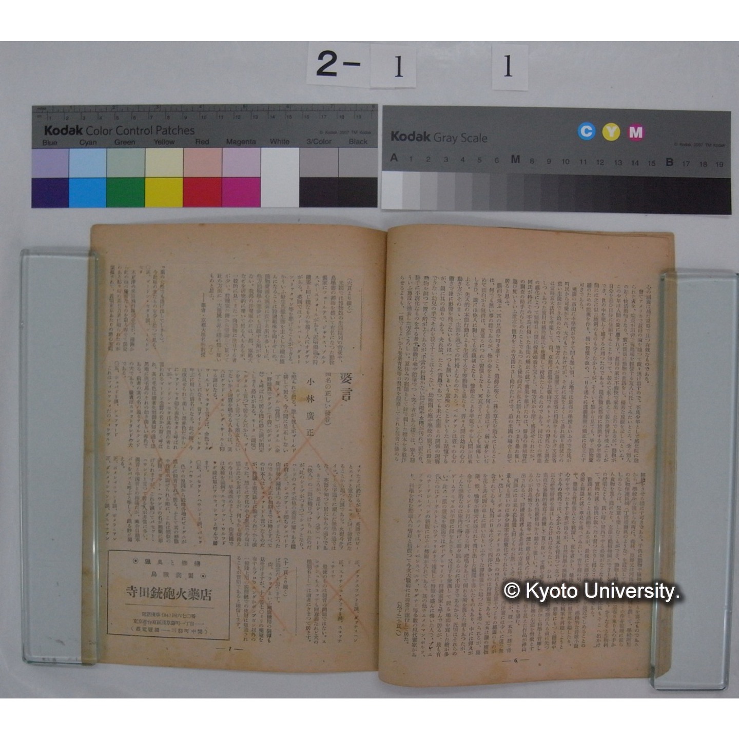 動物愛護と教育 [抜刷等] / 川村多實二 (6)