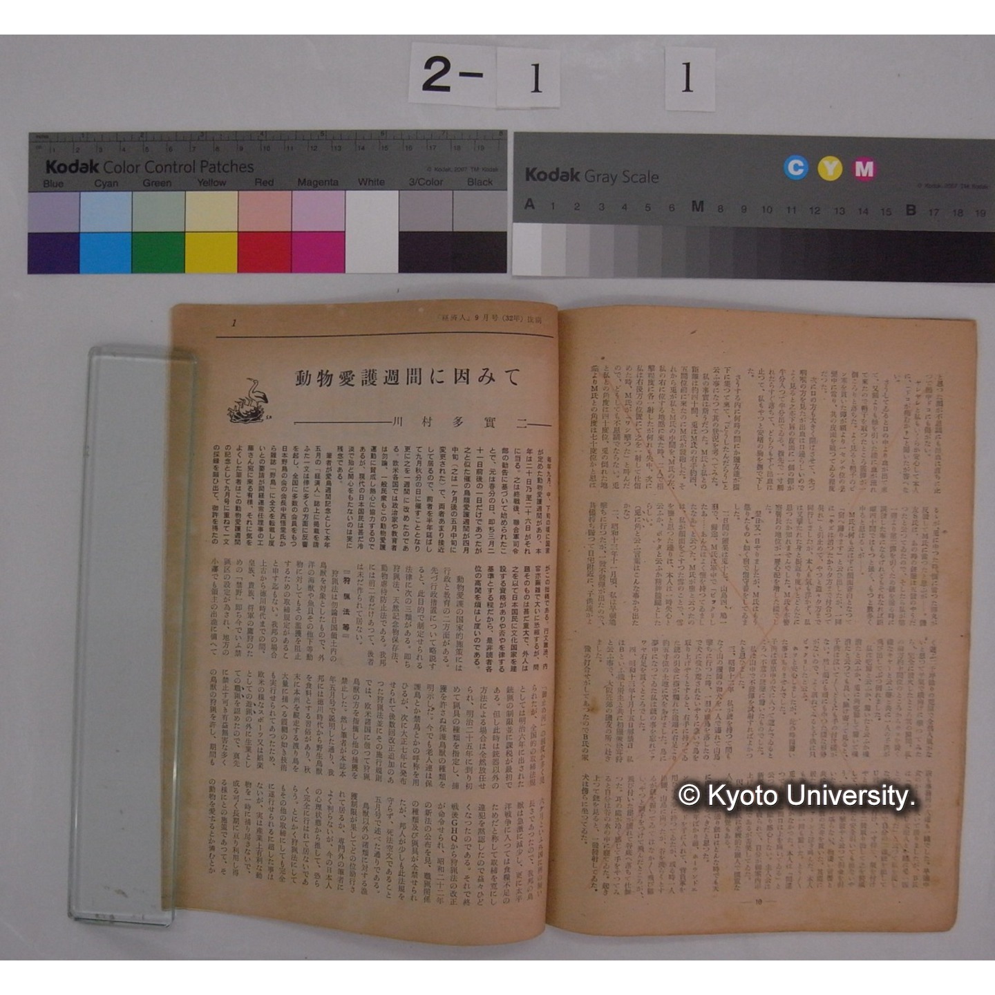 動物愛護と教育 [抜刷等] / 川村多實二 (7)