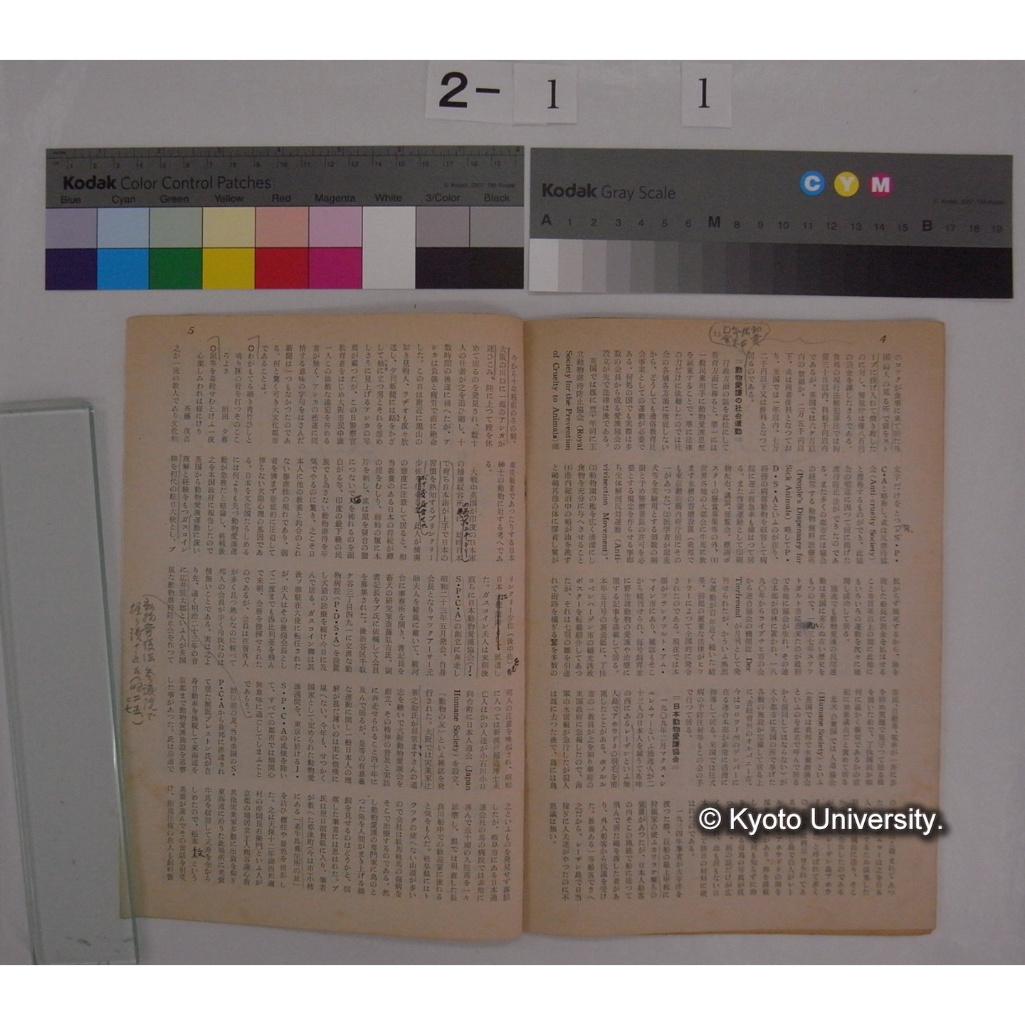 動物愛護と教育 [抜刷等] / 川村多實二 (8)