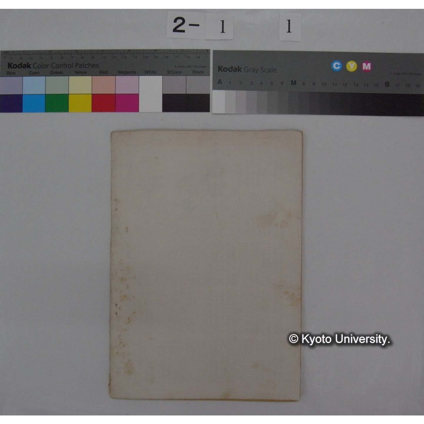 動物愛護と教育 [抜刷等] / 川村多實二 (9)