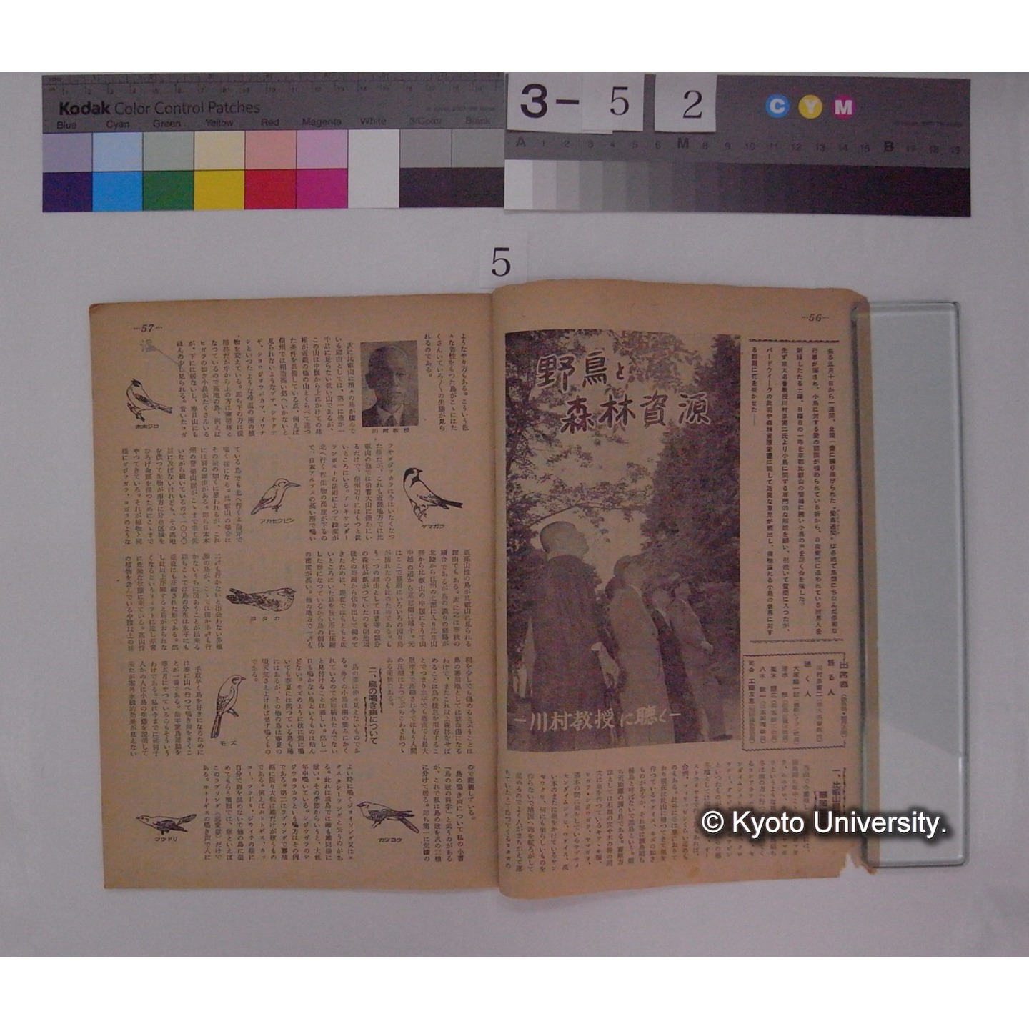 野鳥と森林資源 ; 川村教授に聴く (2)