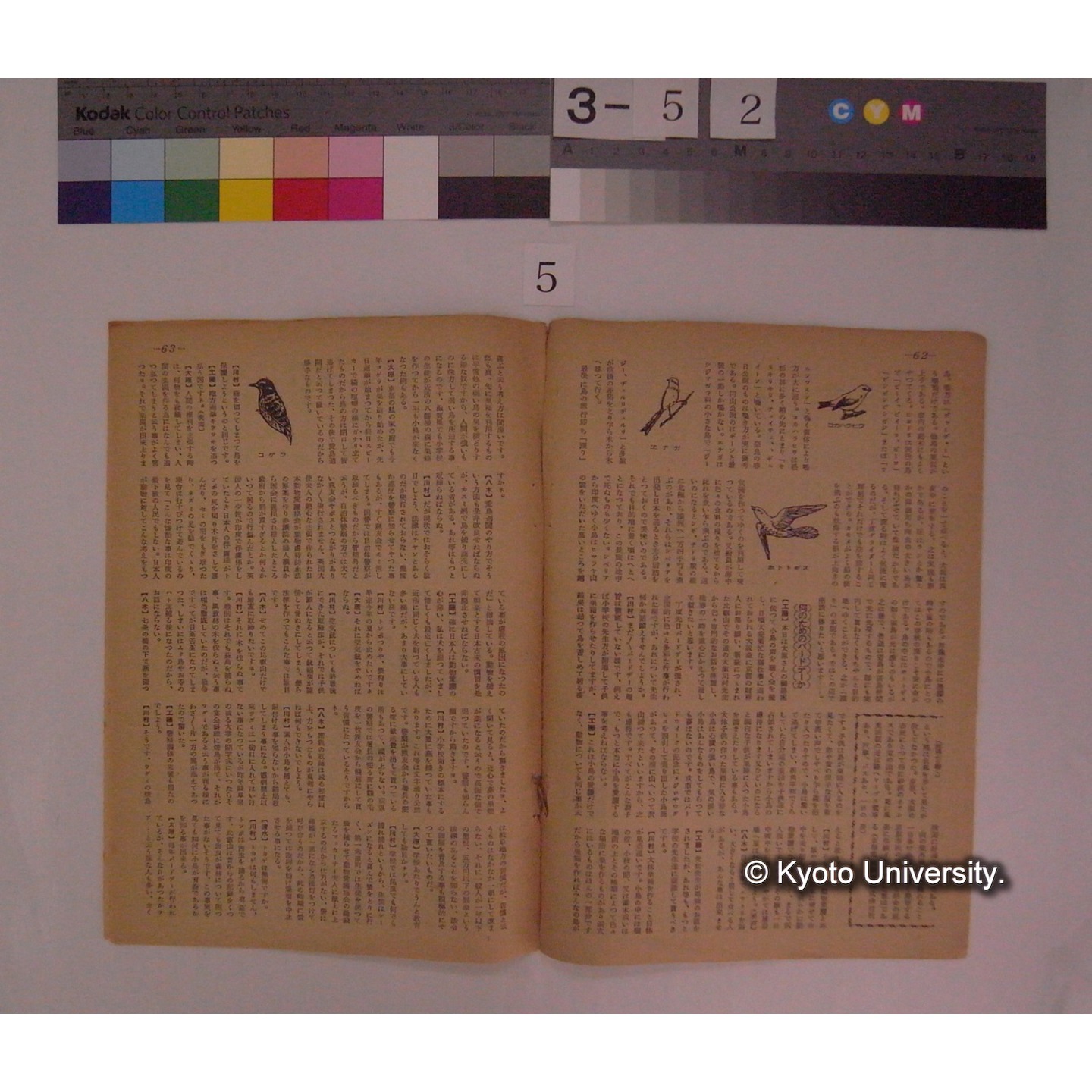 野鳥と森林資源 ; 川村教授に聴く (3)