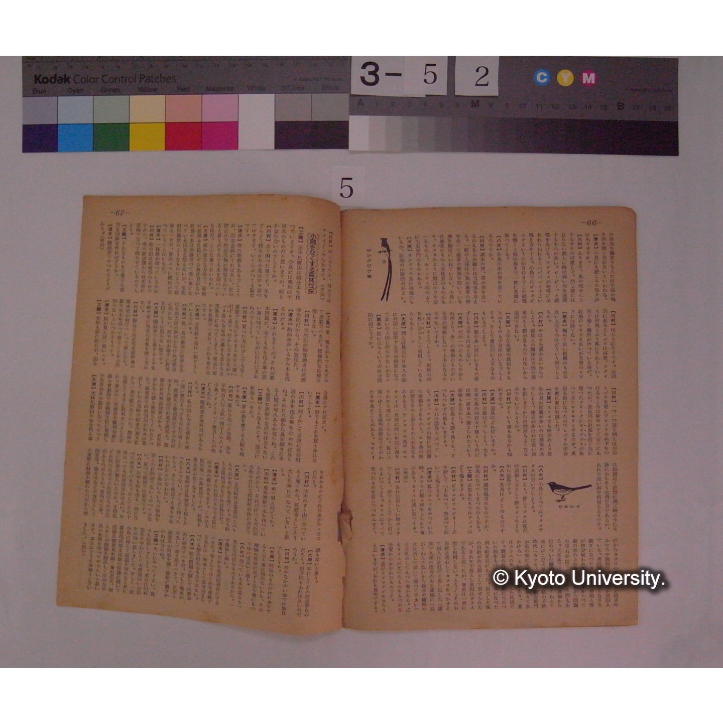 野鳥と森林資源 ; 川村教授に聴く (4)